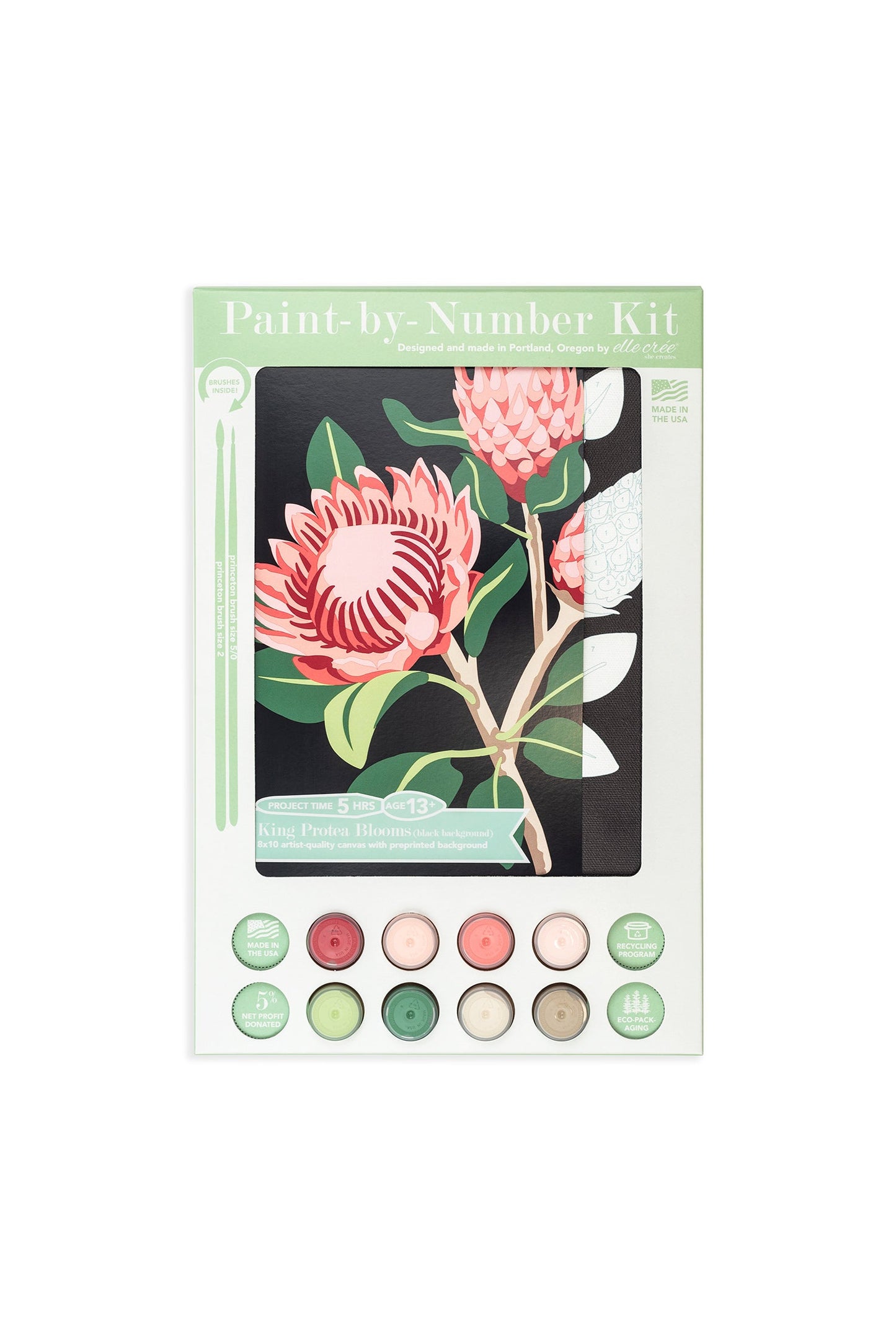 King Protea Blooms (black background) | 8x10 paint-by-number kit - Paint-by-Number Kit from Elle Crée