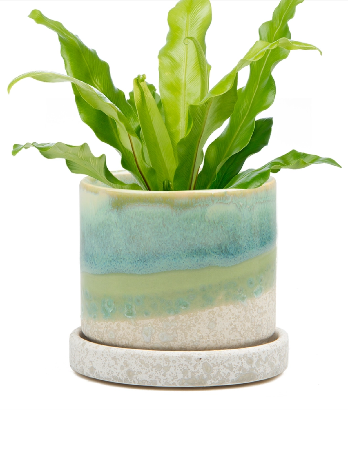 Cement Green Ceramic Plant Pot and Saucer - plant pot from Ash & Rose