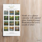 2024 Calendar: Stained Glass Forests