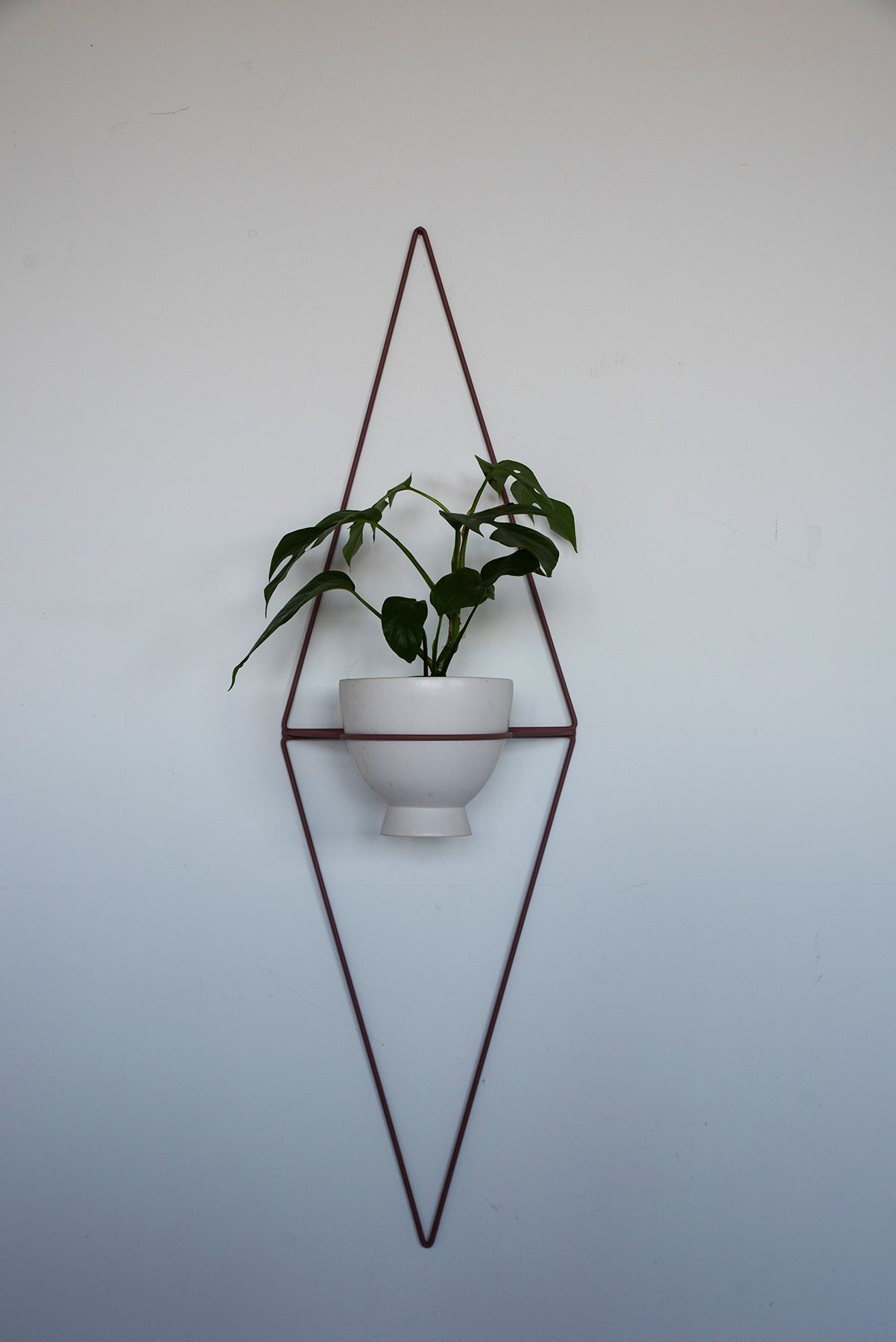 Diamond Eye Wall Planter - Wall Planters from WILDEHAUS