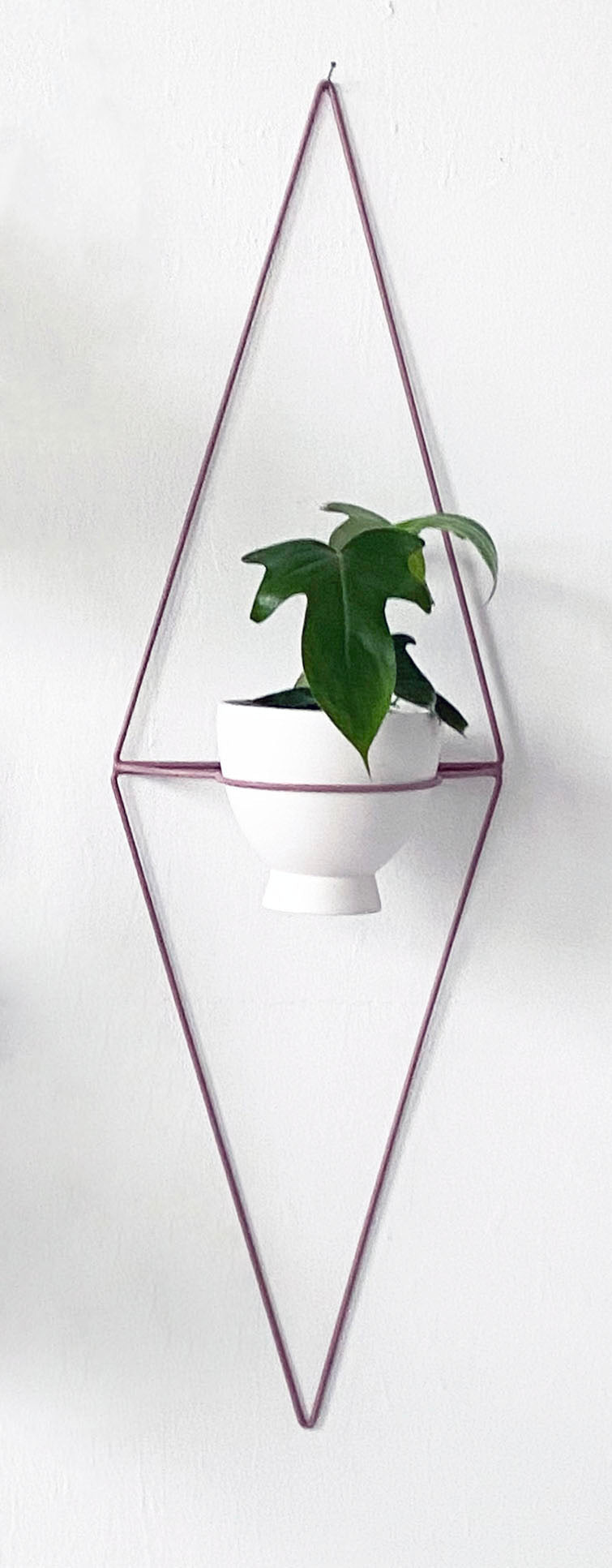 Diamond Eye Wall Planter - Wall Planters from WILDEHAUS
