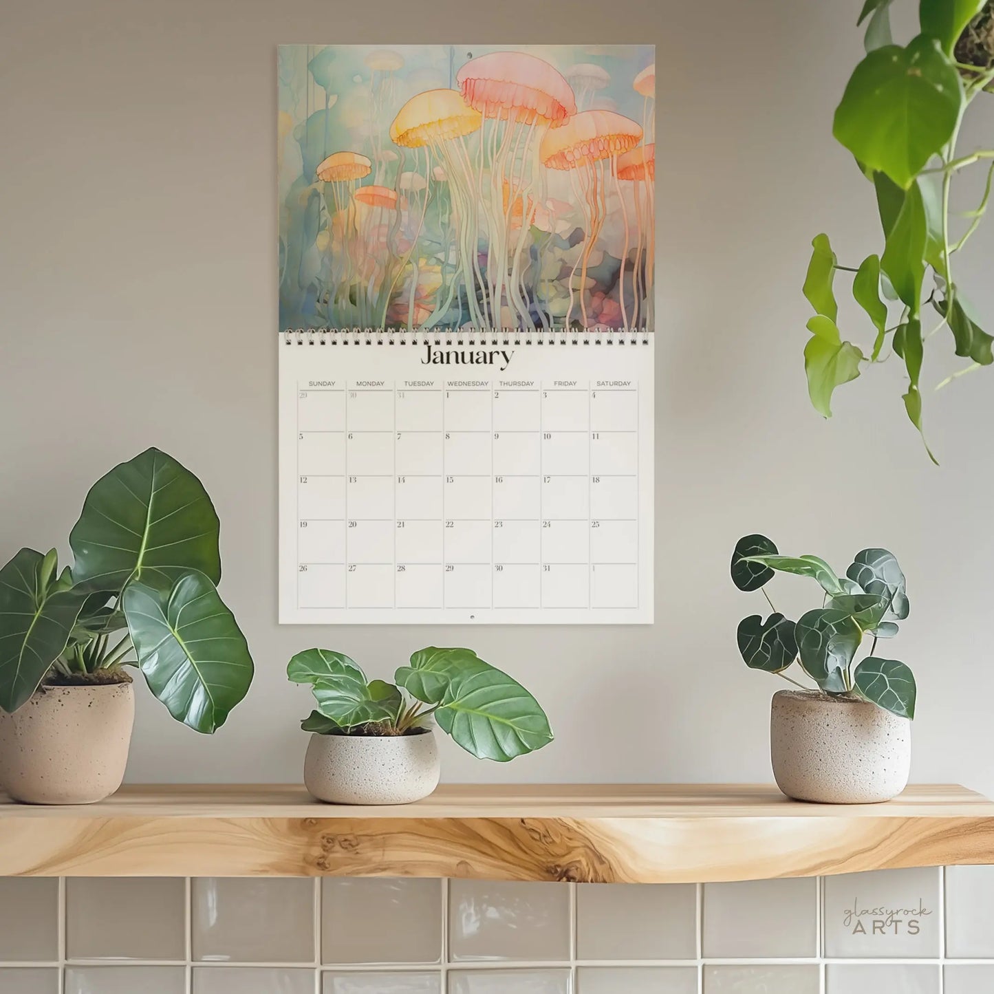 The 2025 Ocean Life Wall Calendar features vibrant jellyfish artwork for January. Below, a wooden shelf displays three leafy potted plants against a light-colored plain wall.