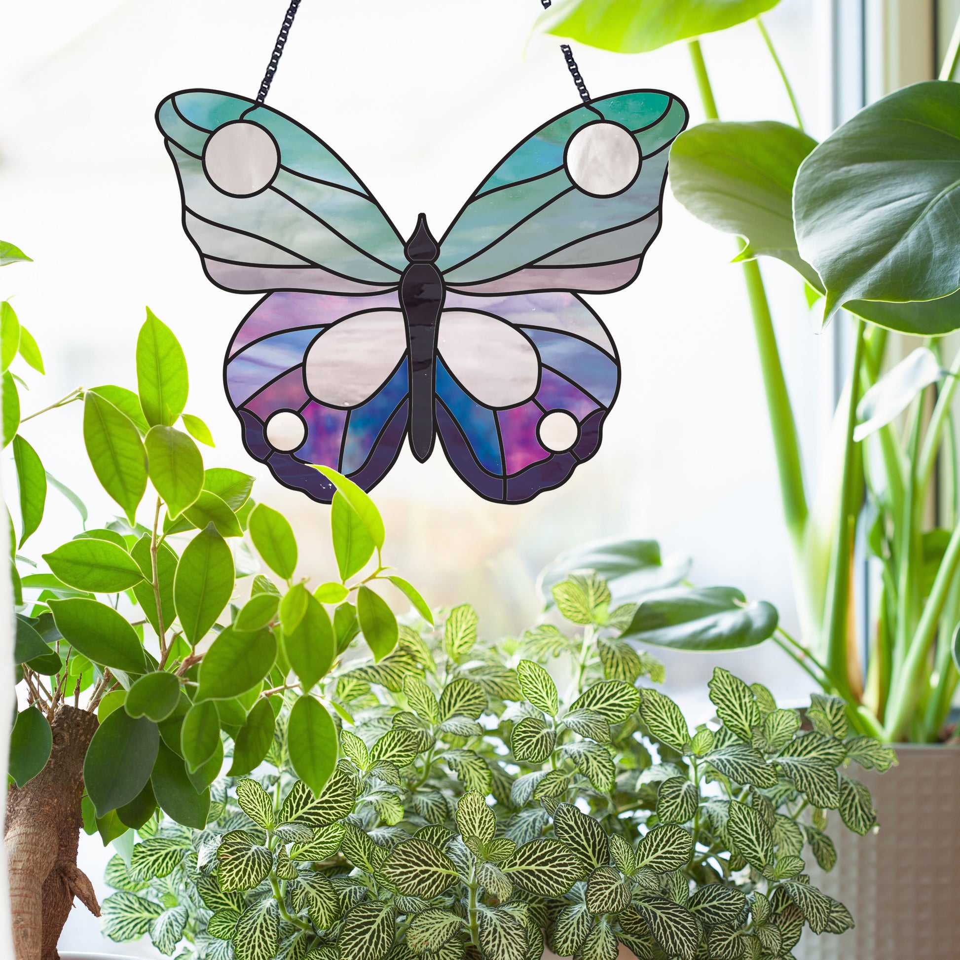 Butterfly stained glass pattern, instant PDF download, shown in bright window with plants