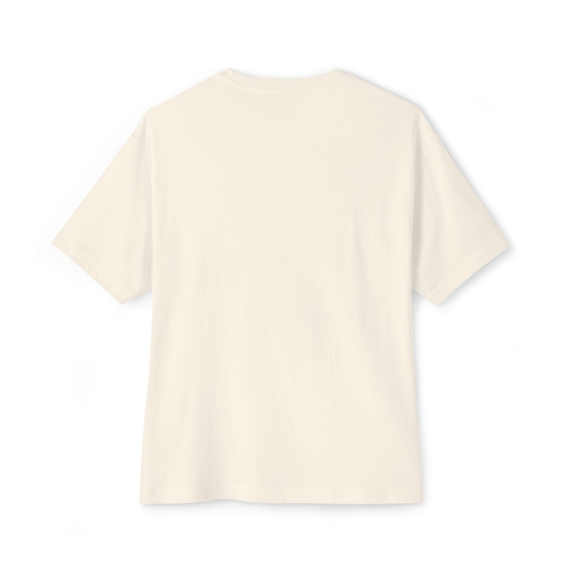 Back view of a plain, short-sleeved, sustainable, white Stained Glass Seagull Oversized Tee Shirt against a white background.