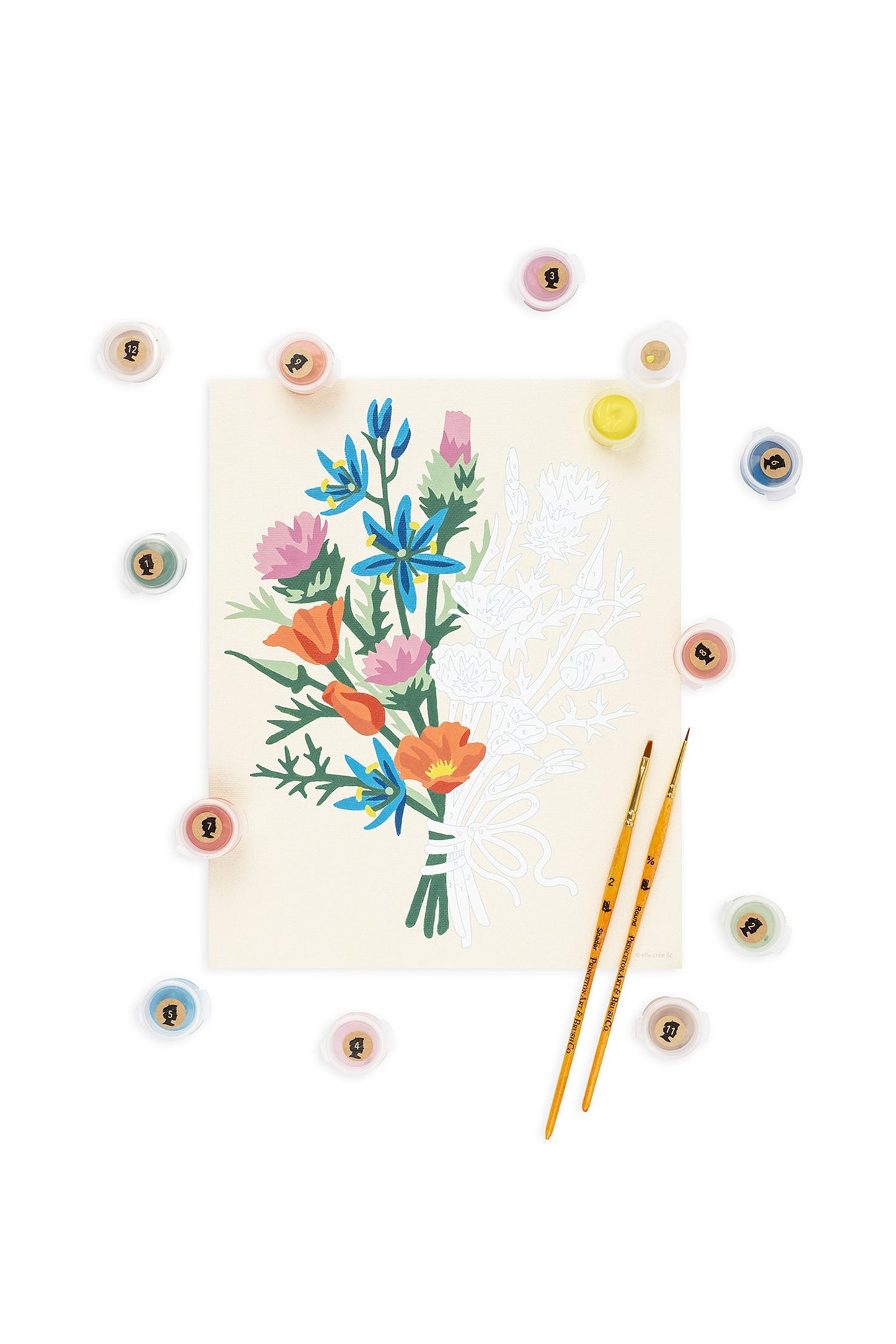 California Wildflowers | 8x10 paint-by-number kit