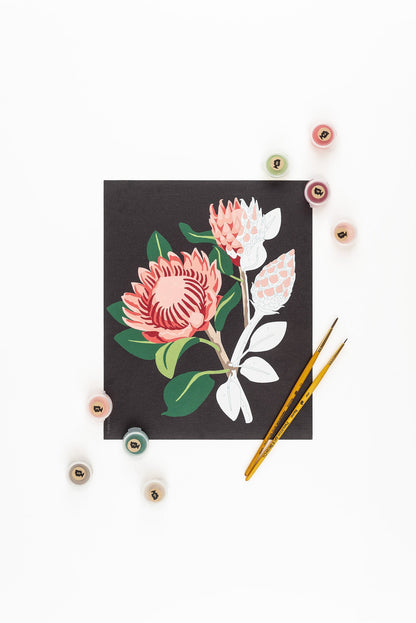 King Protea Blooms (black background) | 8x10 paint-by-number kit