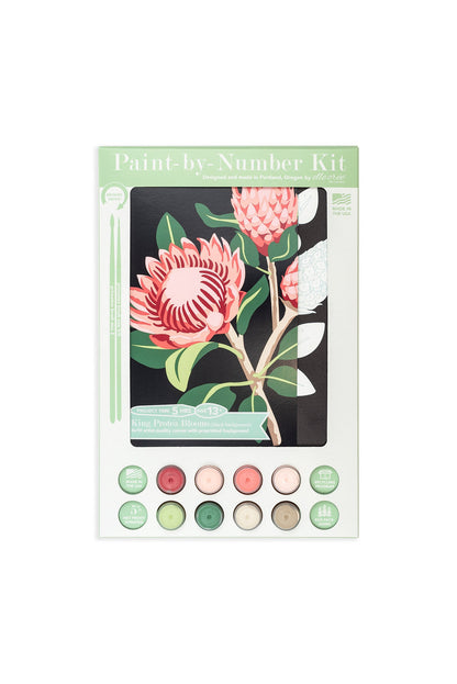 King Protea Blooms (black background) | 8x10 paint-by-number kit