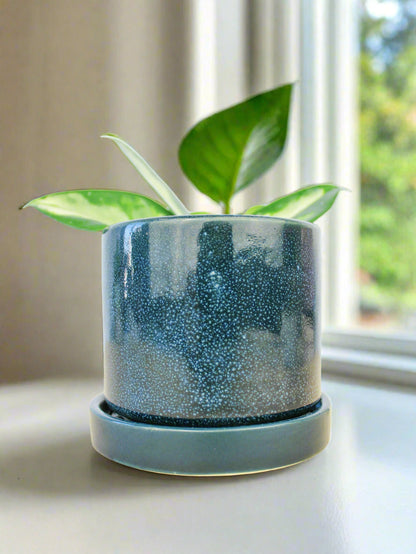 Cosmos Blue 3" Ceramic Plant Pot and Saucer - plant pot from Ash & Rose