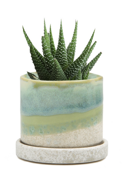 Cement Green Ceramic Plant Pot and Saucer - plant pot from Ash & Rose