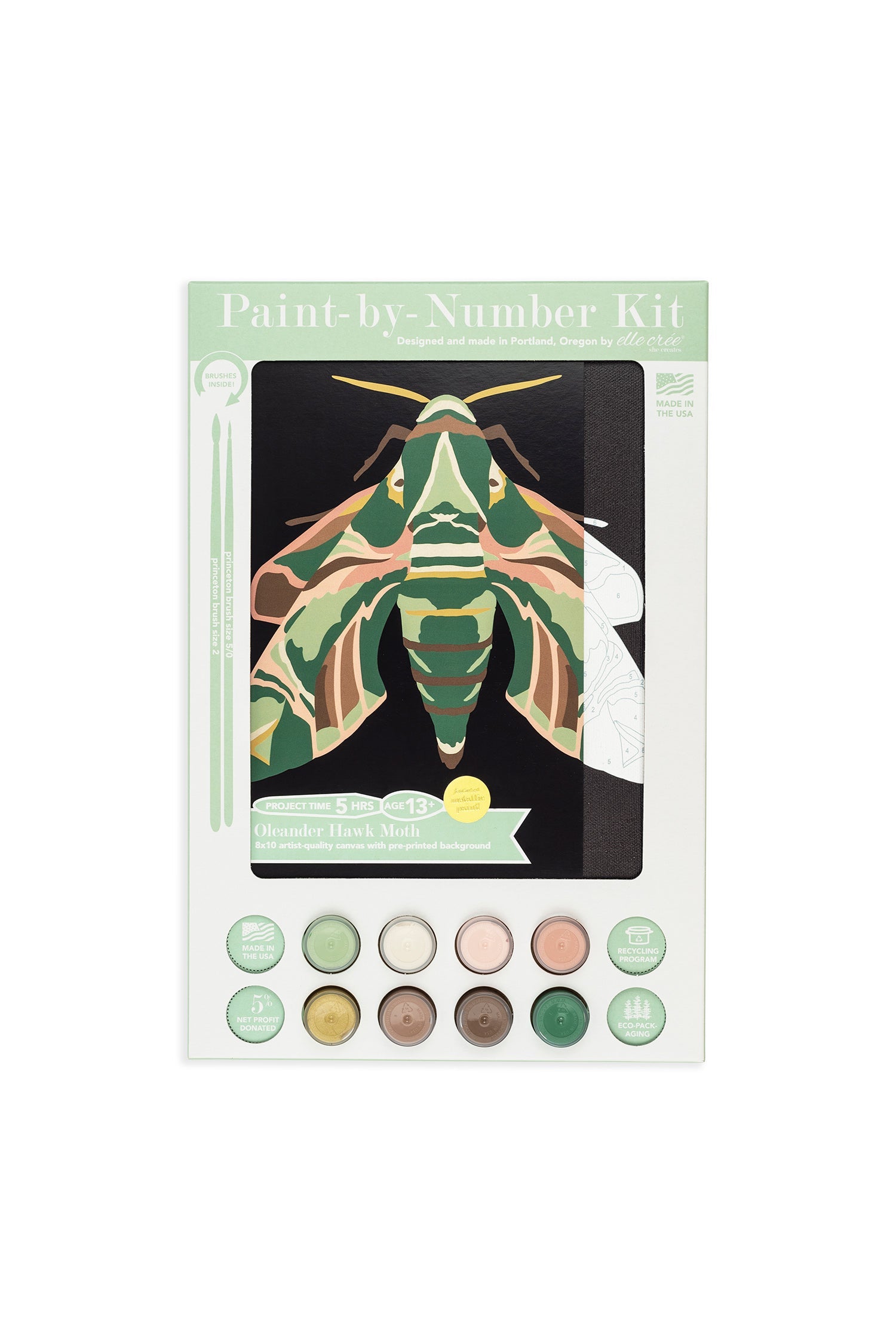 Oleander Hawk Moth | 8x10 paint-by-number kit - Paint-by-Number Kit from Elle Crée