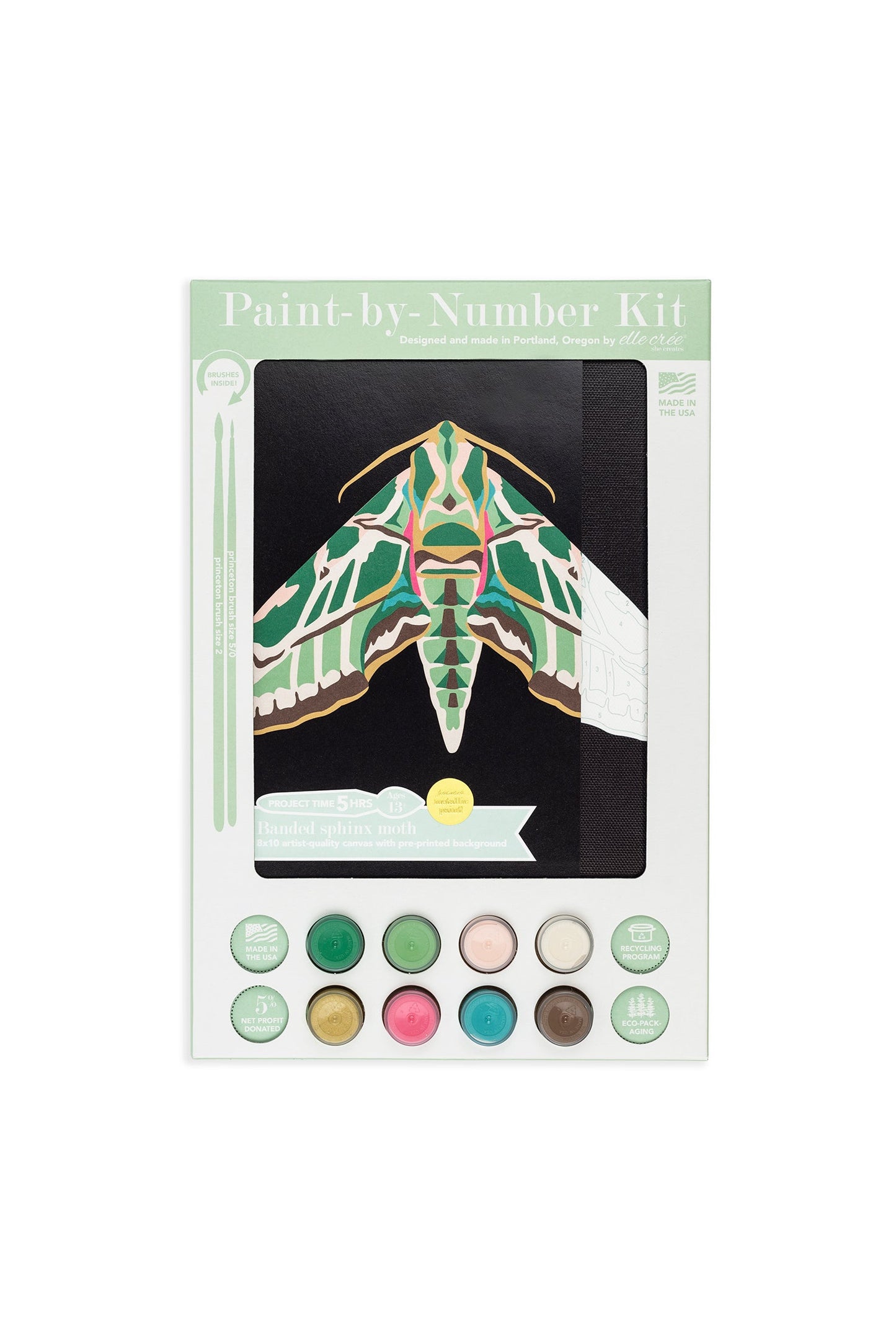 Banded Sphinx Moth | 8x10 paint-by-number kit - Paint-by-Number Kit from Elle Crée