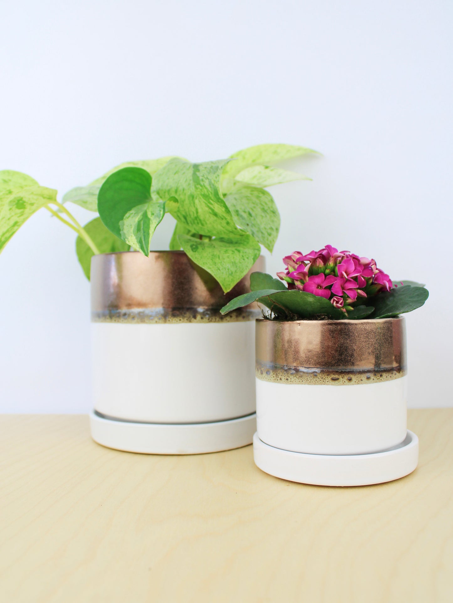 Bronze White Ceramic Plant Pot and Saucer - plant pot from Ash & Rose