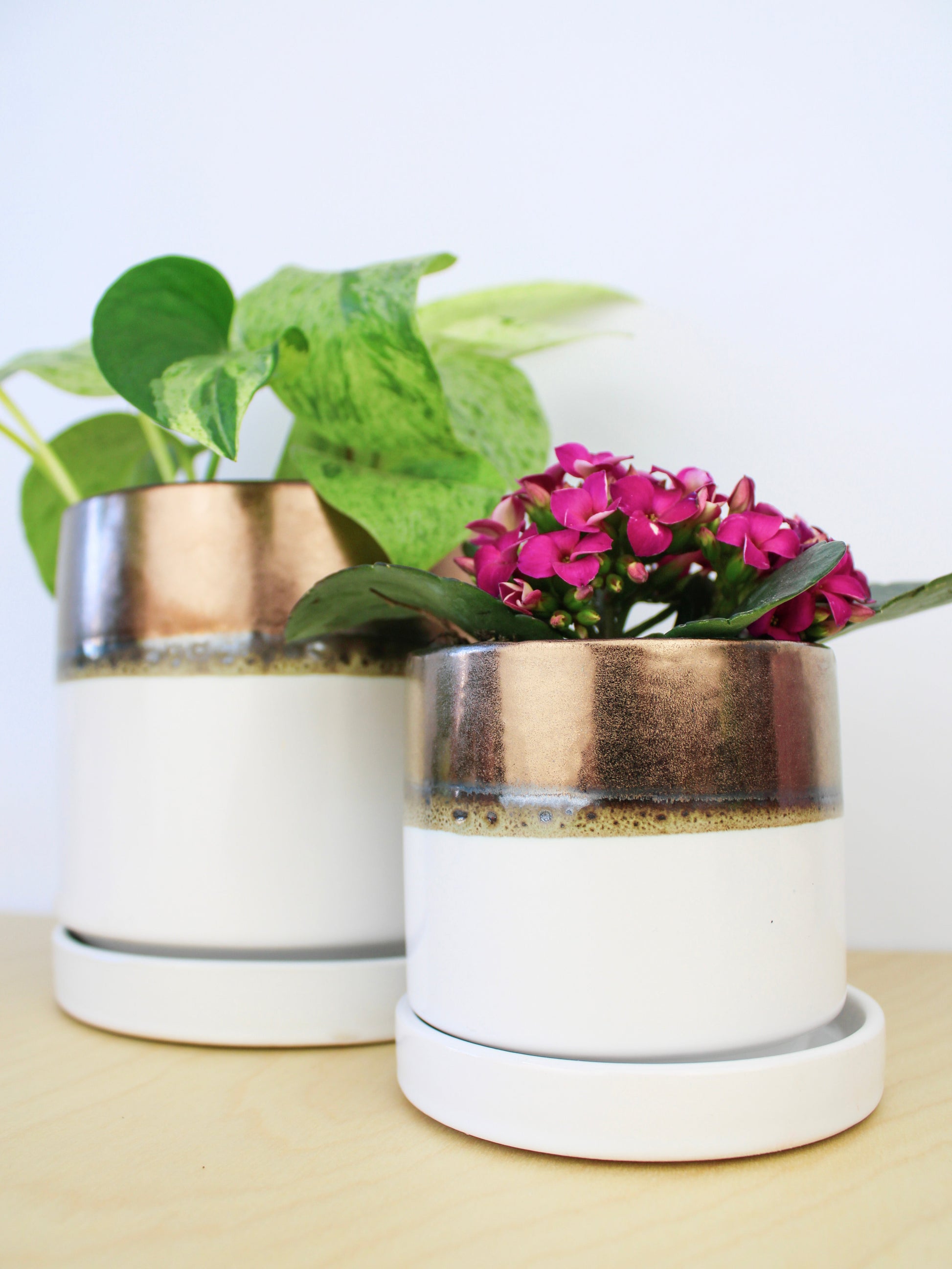Bronze White Ceramic Plant Pot and Saucer - plant pot from Ash & Rose