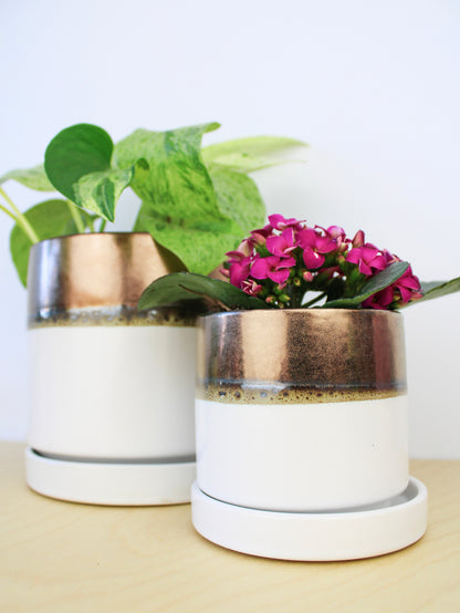 Bronze White Ceramic Plant Pot and Saucer - plant pot from Ash & Rose