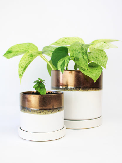 Bronze White Ceramic Plant Pot and Saucer - plant pot from Ash & Rose