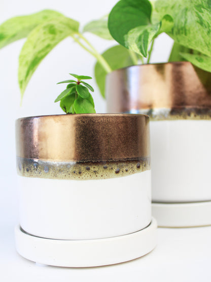 Bronze White Ceramic Plant Pot and Saucer - plant pot from Ash & Rose