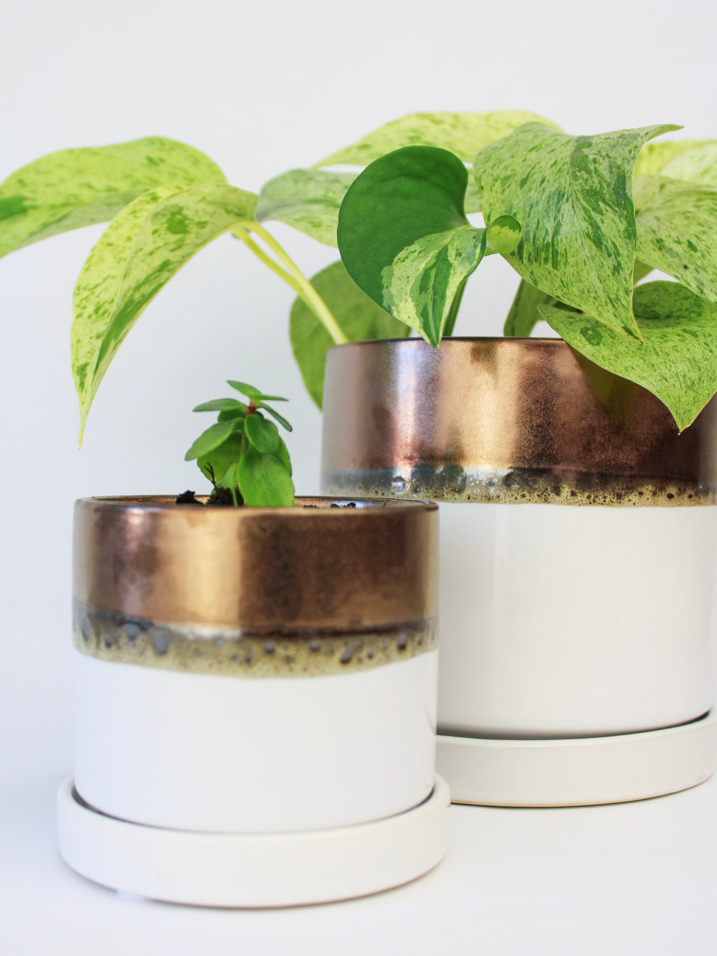 Bronze White Ceramic Plant Pot and Saucer - plant pot from Ash & Rose