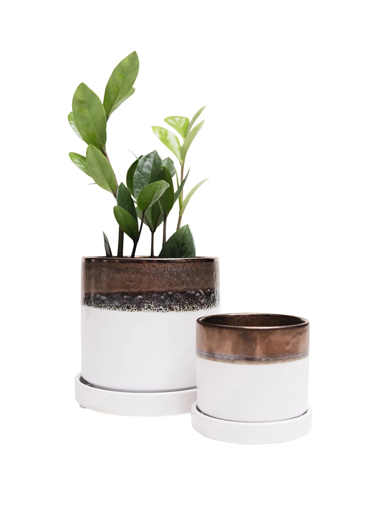 Bronze White Ceramic Plant Pot and Saucer - plant pot from Ash & Rose