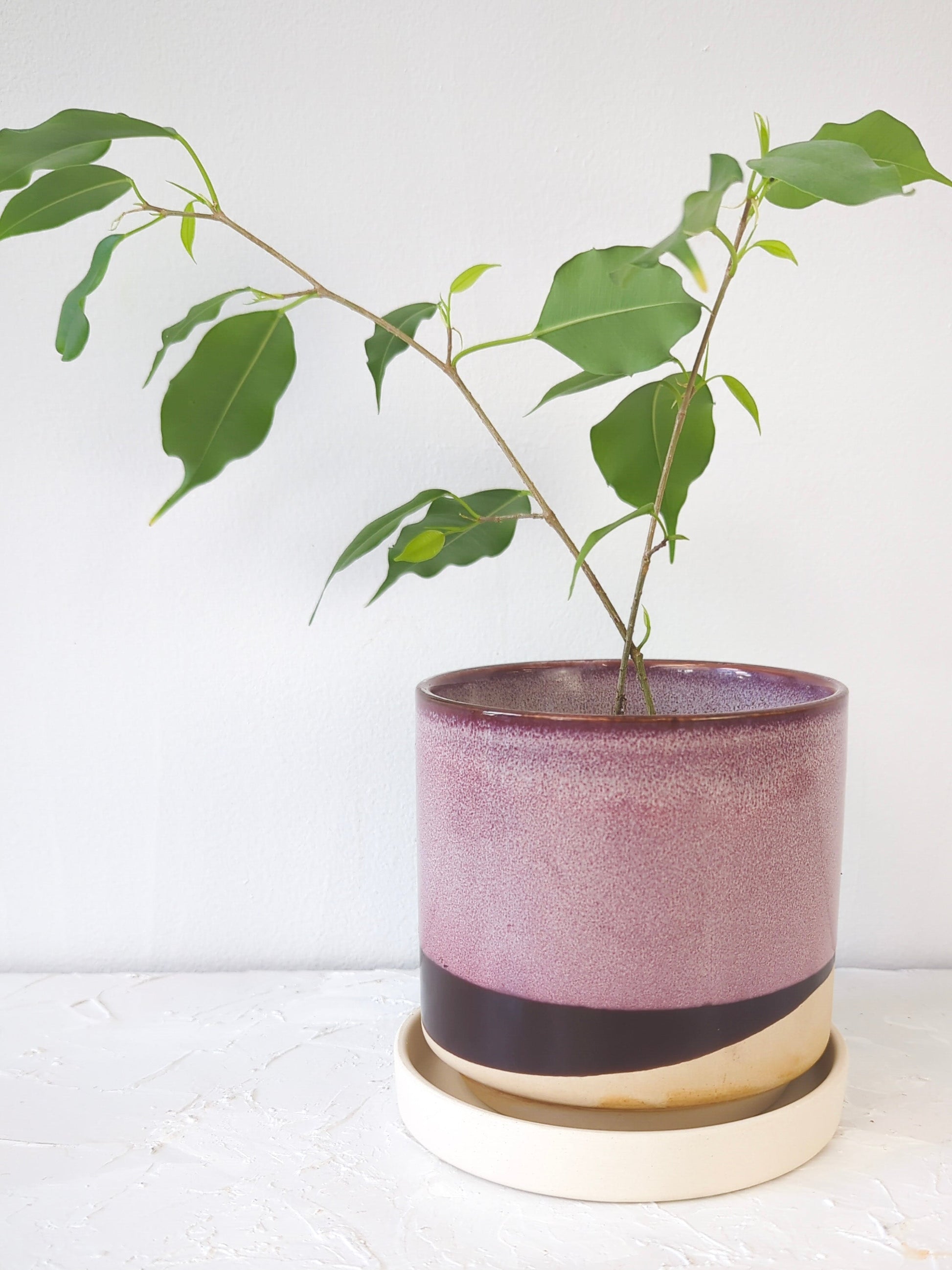 Burgundy Ceramic Plant Pot and Saucer - plant pot from Ash & Rose