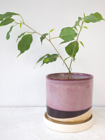 Burgundy Ceramic Plant Pot and Saucer - plant pot from Ash & Rose