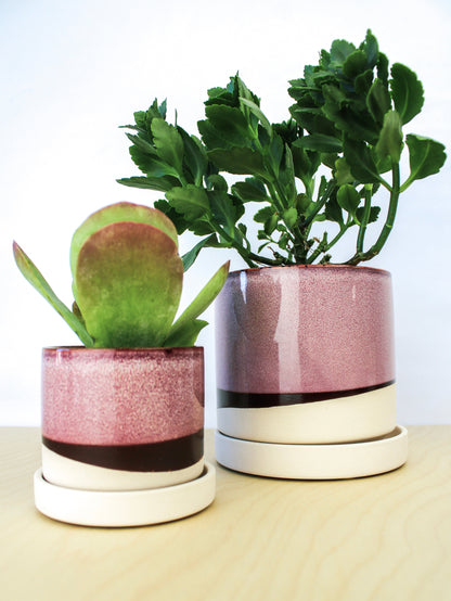 Burgundy Ceramic Plant Pot and Saucer - plant pot from Ash & Rose