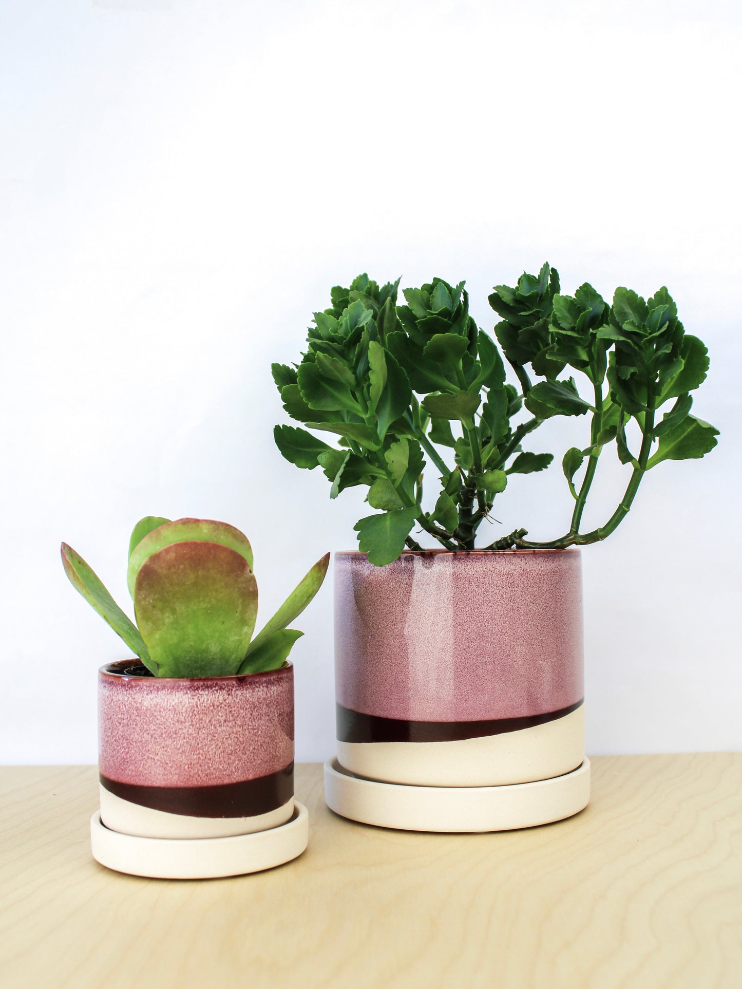 Burgundy Ceramic Plant Pot and Saucer - plant pot from Ash & Rose