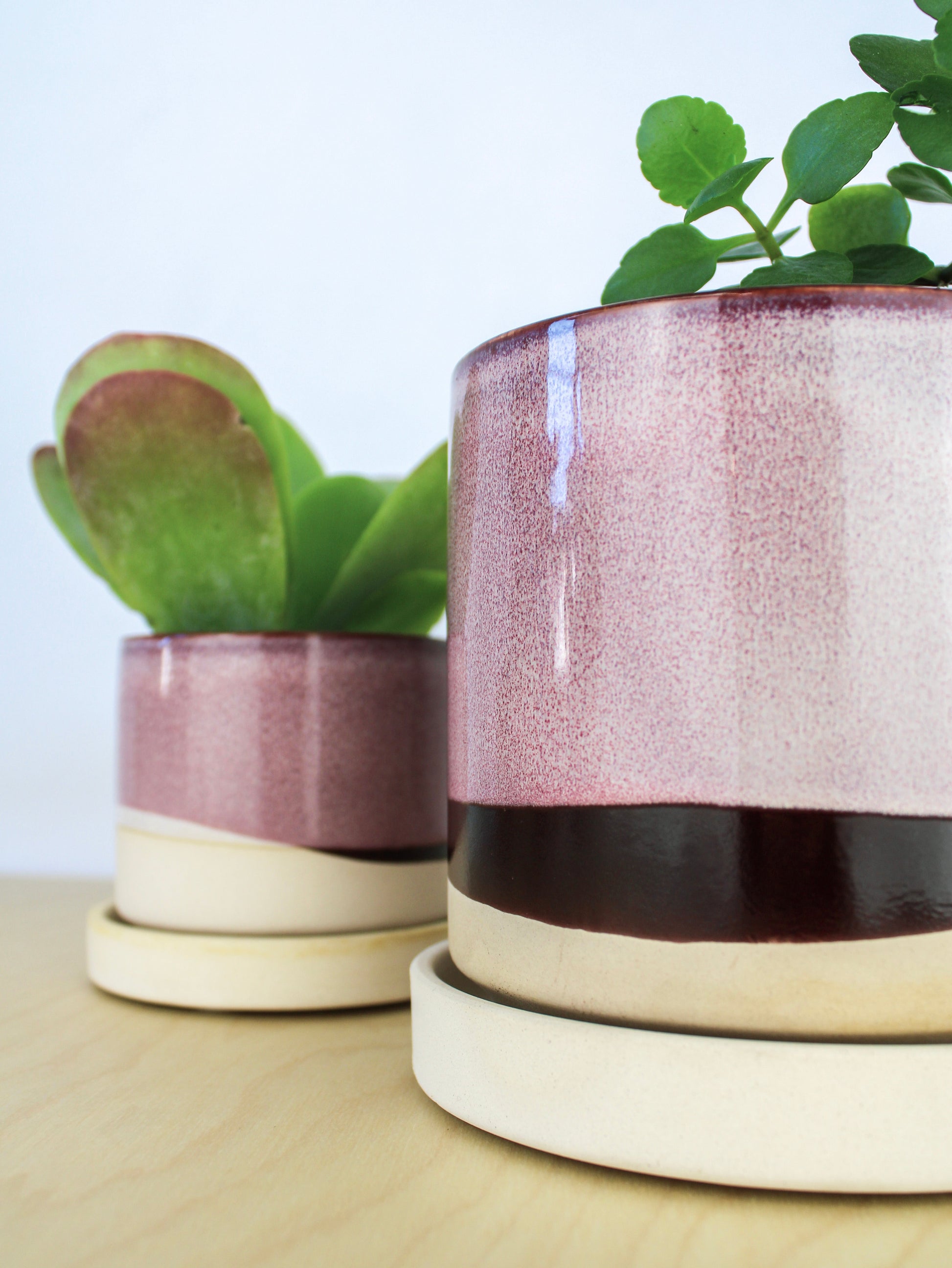 Burgundy Ceramic Plant Pot and Saucer - plant pot from Ash & Rose