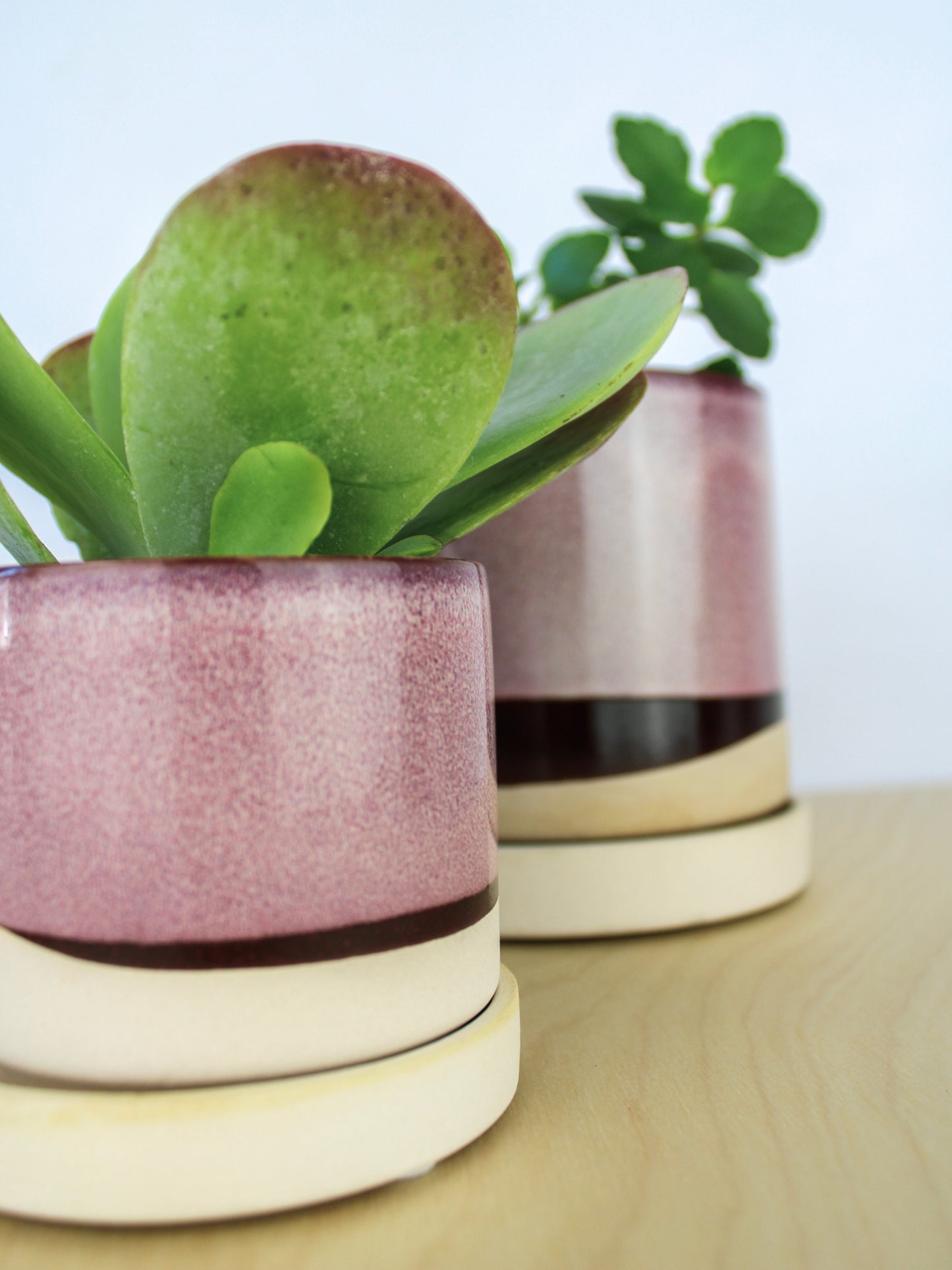 Burgundy Ceramic Plant Pot and Saucer - plant pot from Ash & Rose