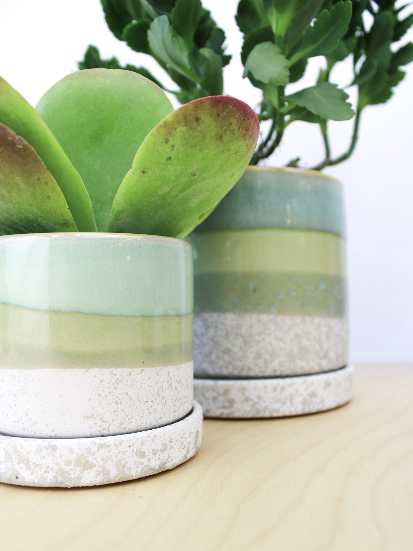 Cement Green Ceramic Plant Pot and Saucer - plant pot from Ash & Rose