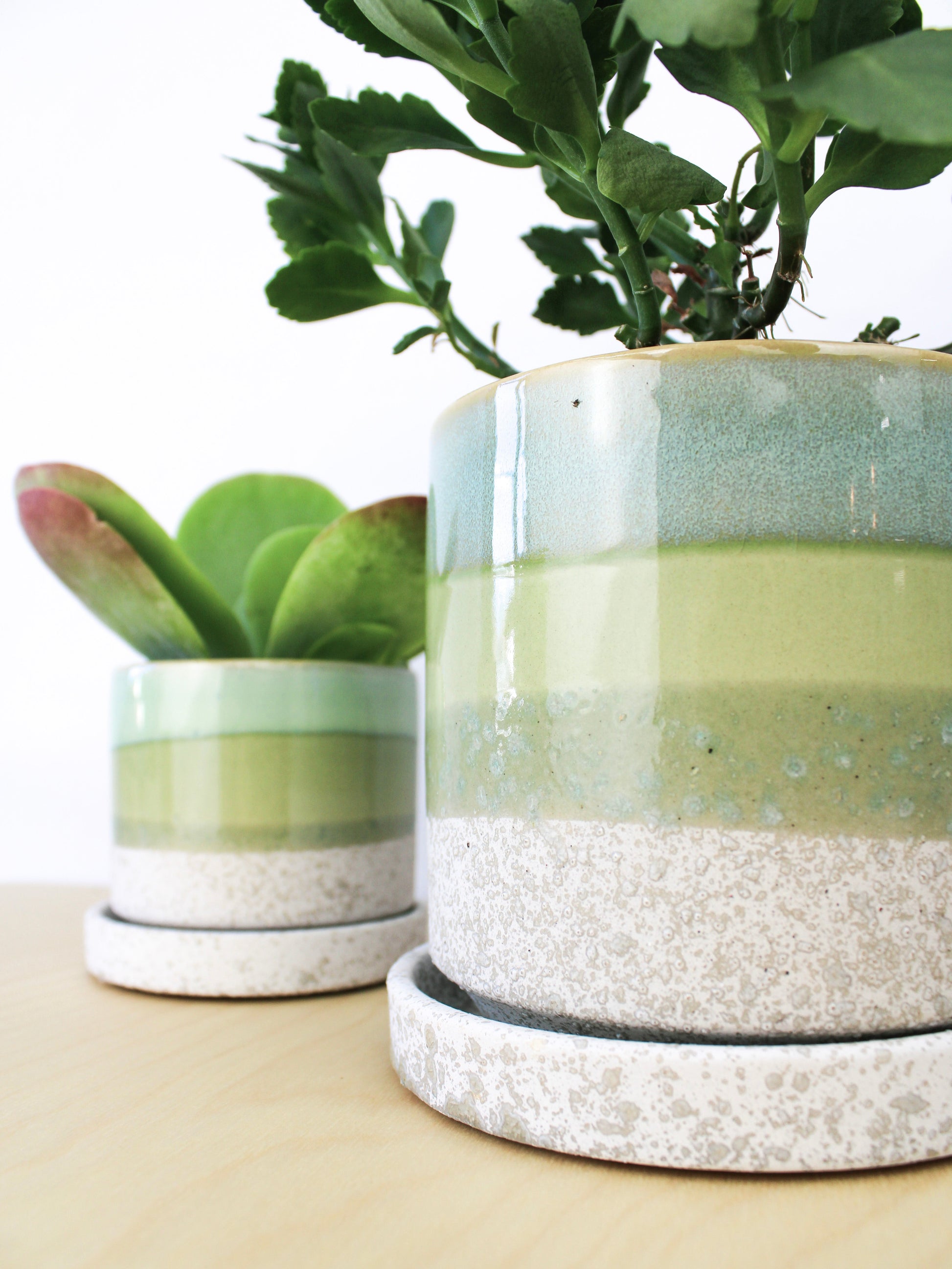Cement Green Ceramic Plant Pot and Saucer - plant pot from Ash & Rose