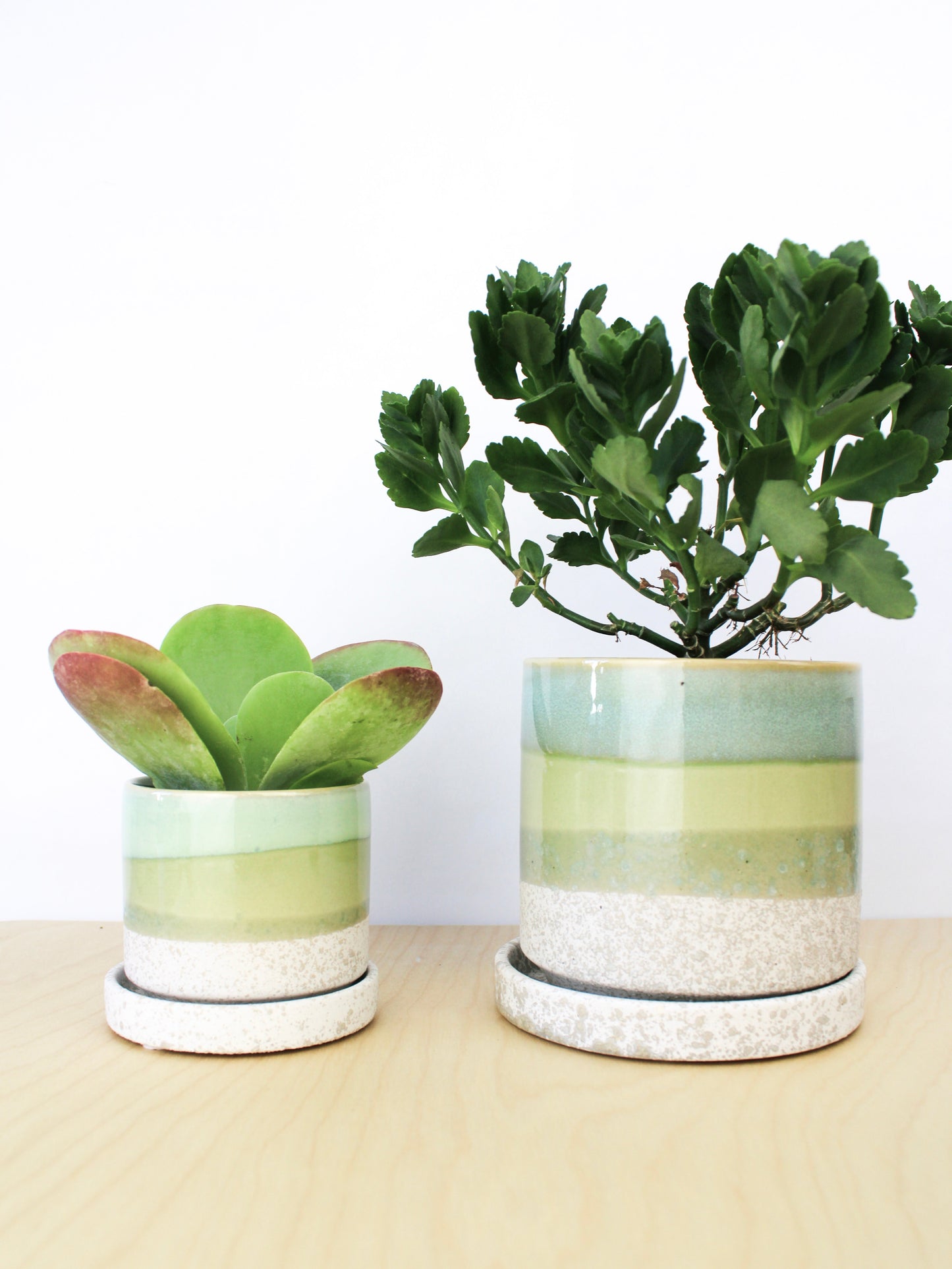 Cement Green Ceramic Plant Pot and Saucer - plant pot from Ash & Rose