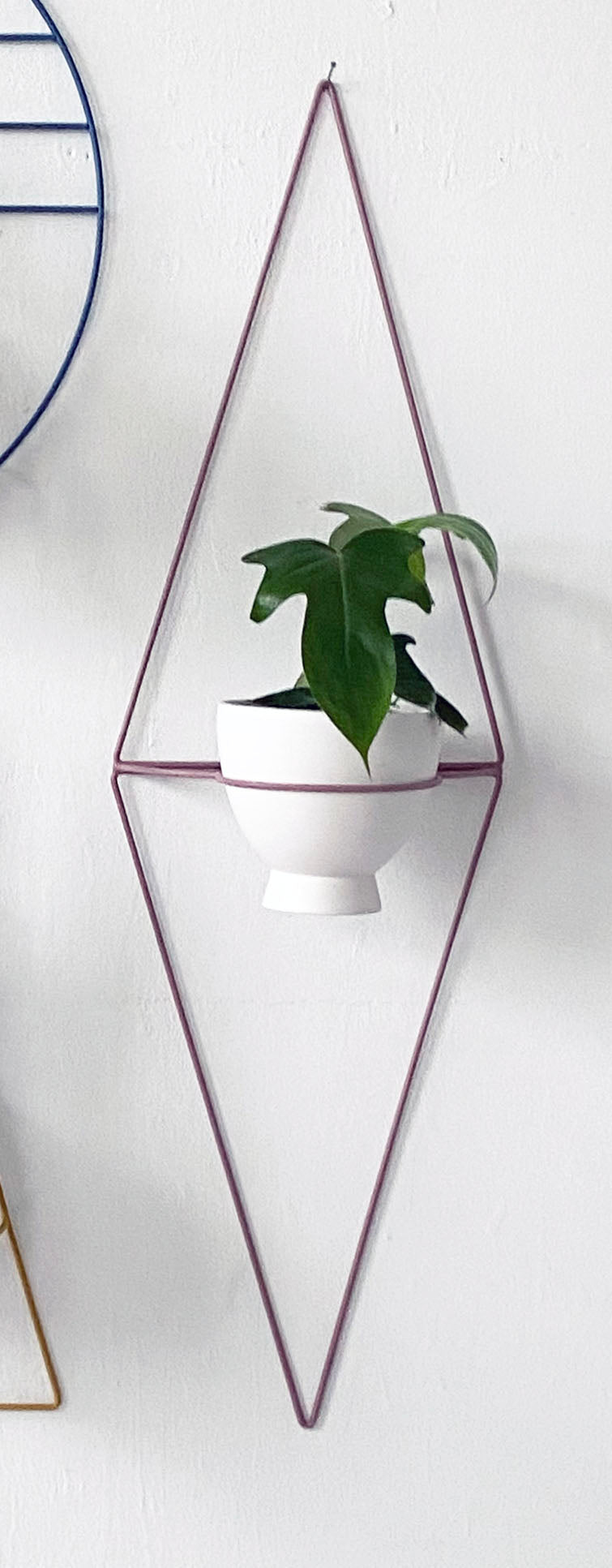 Diamond Eye Wall Planter - Wall Planters from WILDEHAUS