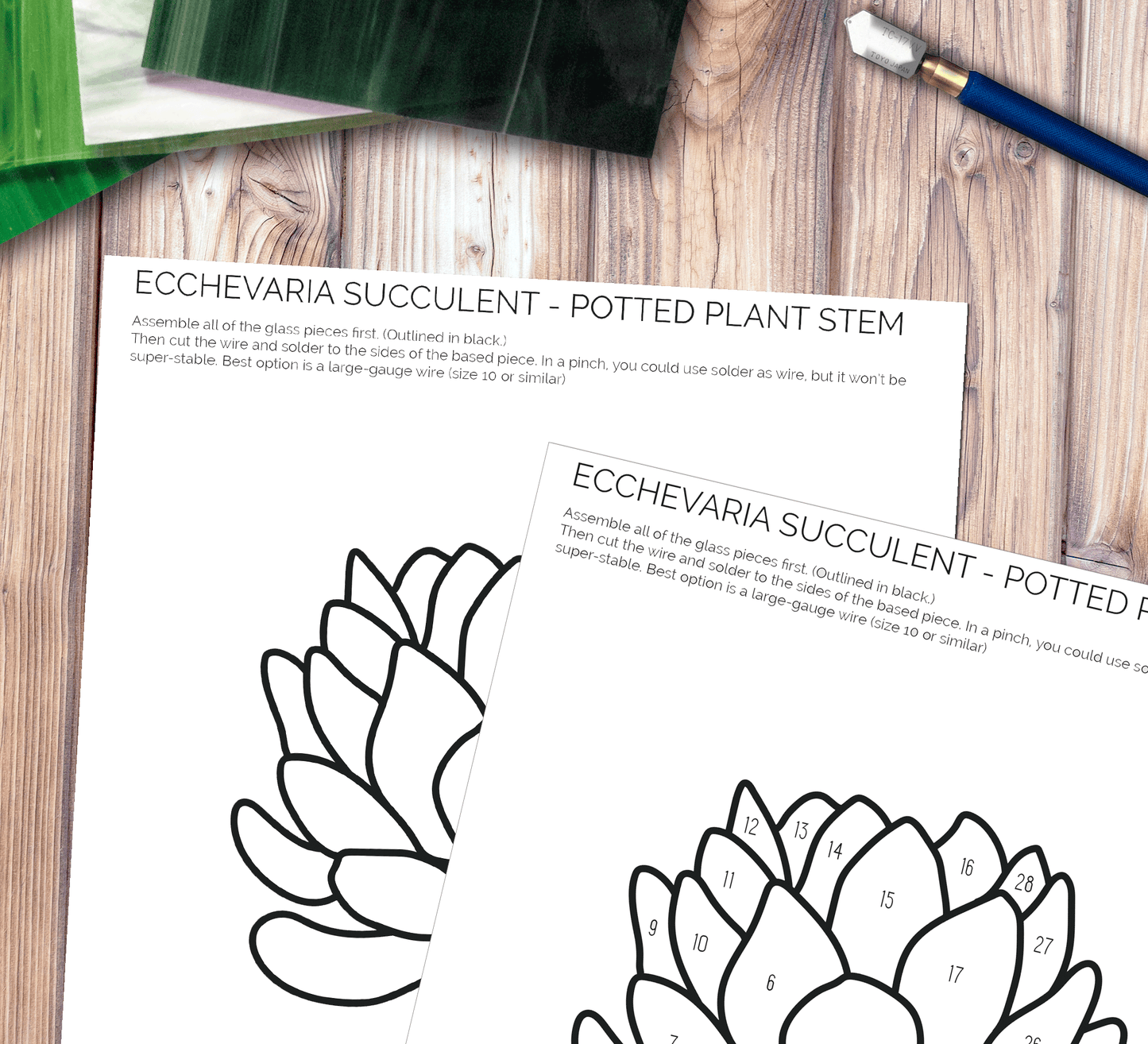 Echeveria Succulent Plant Stem Stained Glass Pattern