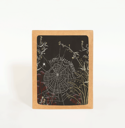 Halloween Spiderweb Boxed Card Set