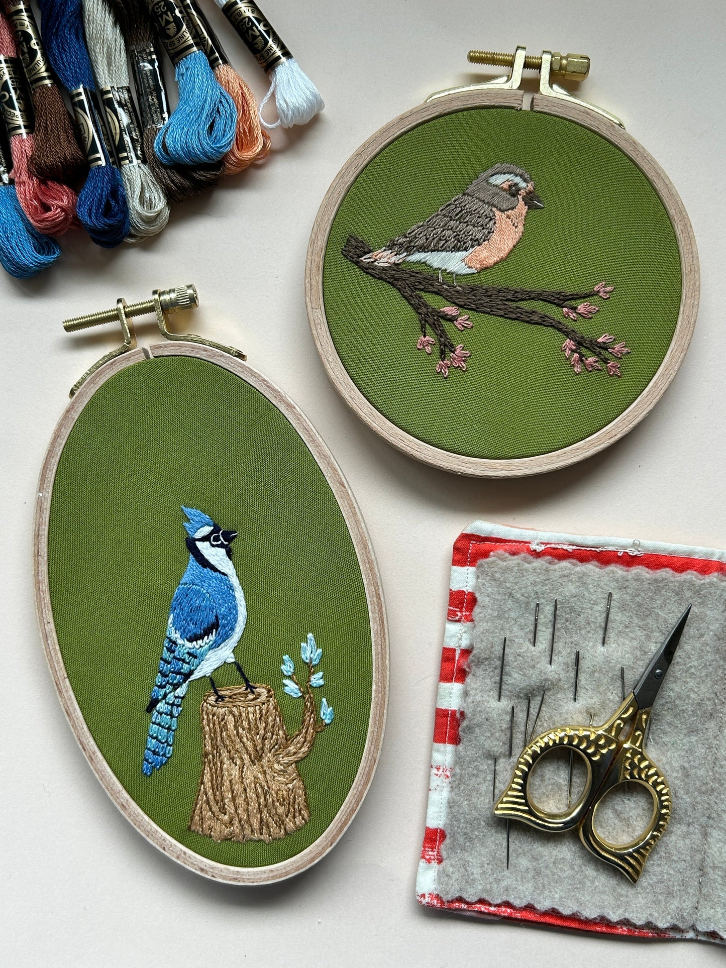 Spring Robin - Bird Embroidery Kit for Beginners