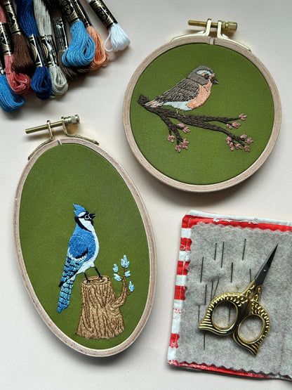 Spring Robin - Bird Embroidery Kit for Beginners