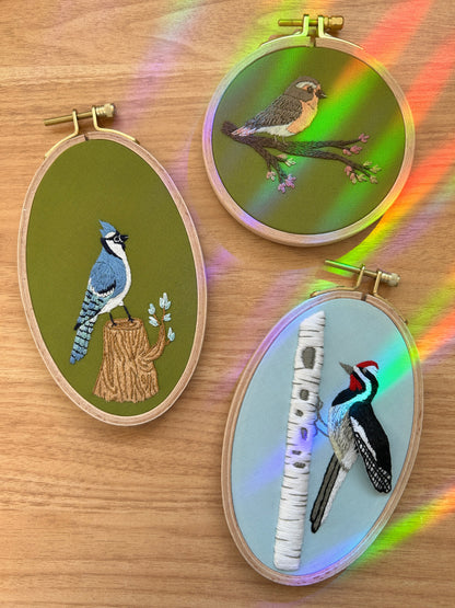 Busy Woodpecker - 3D Bird Advanced Embroidery Kit