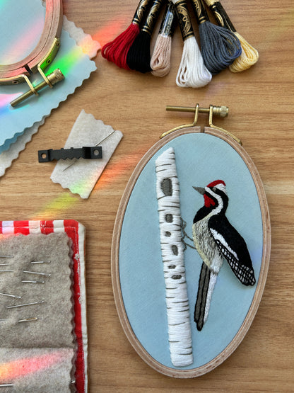 Busy Woodpecker - 3D Bird Advanced Embroidery Kit