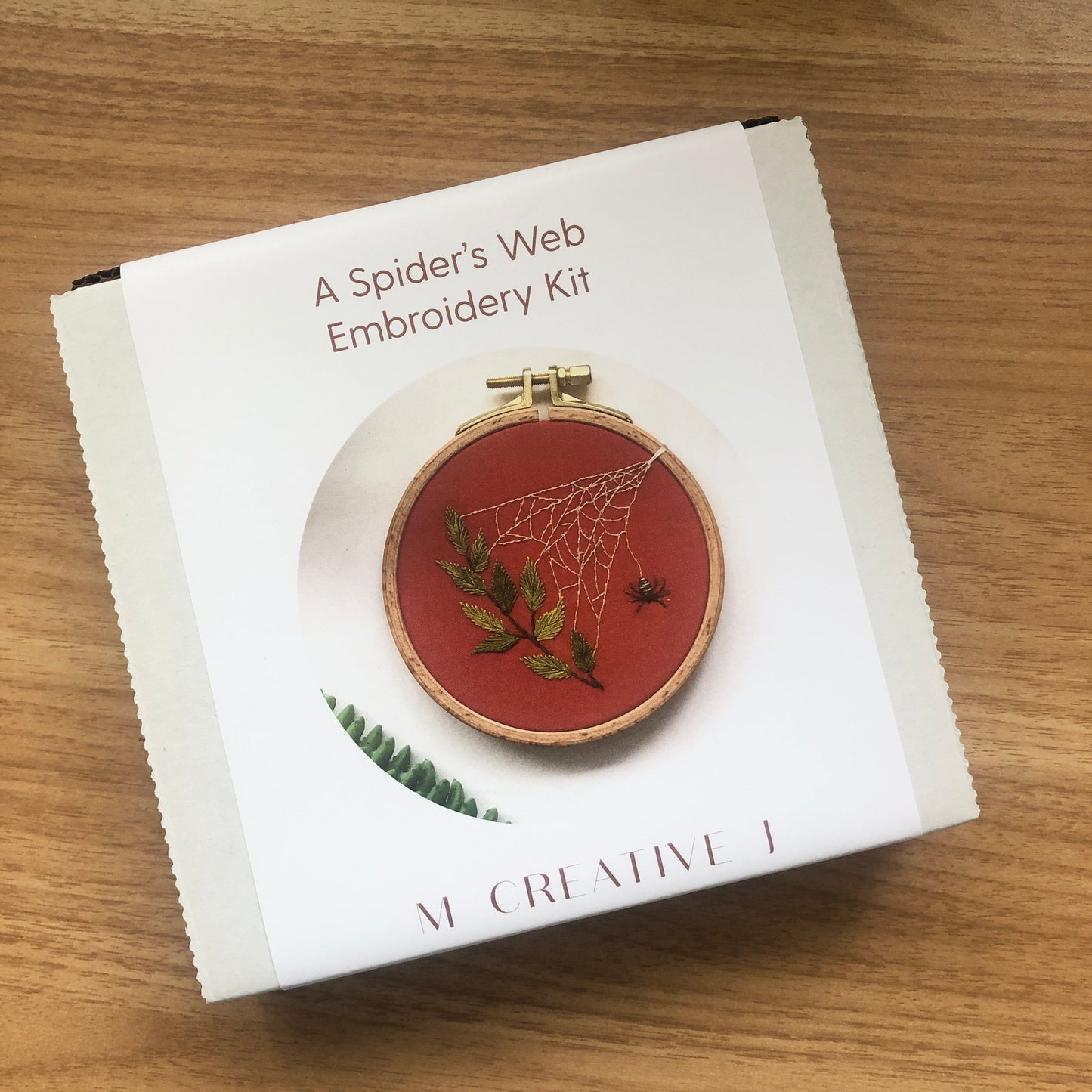 A Spider's Web - Insect Embroidery Kit for Beginners