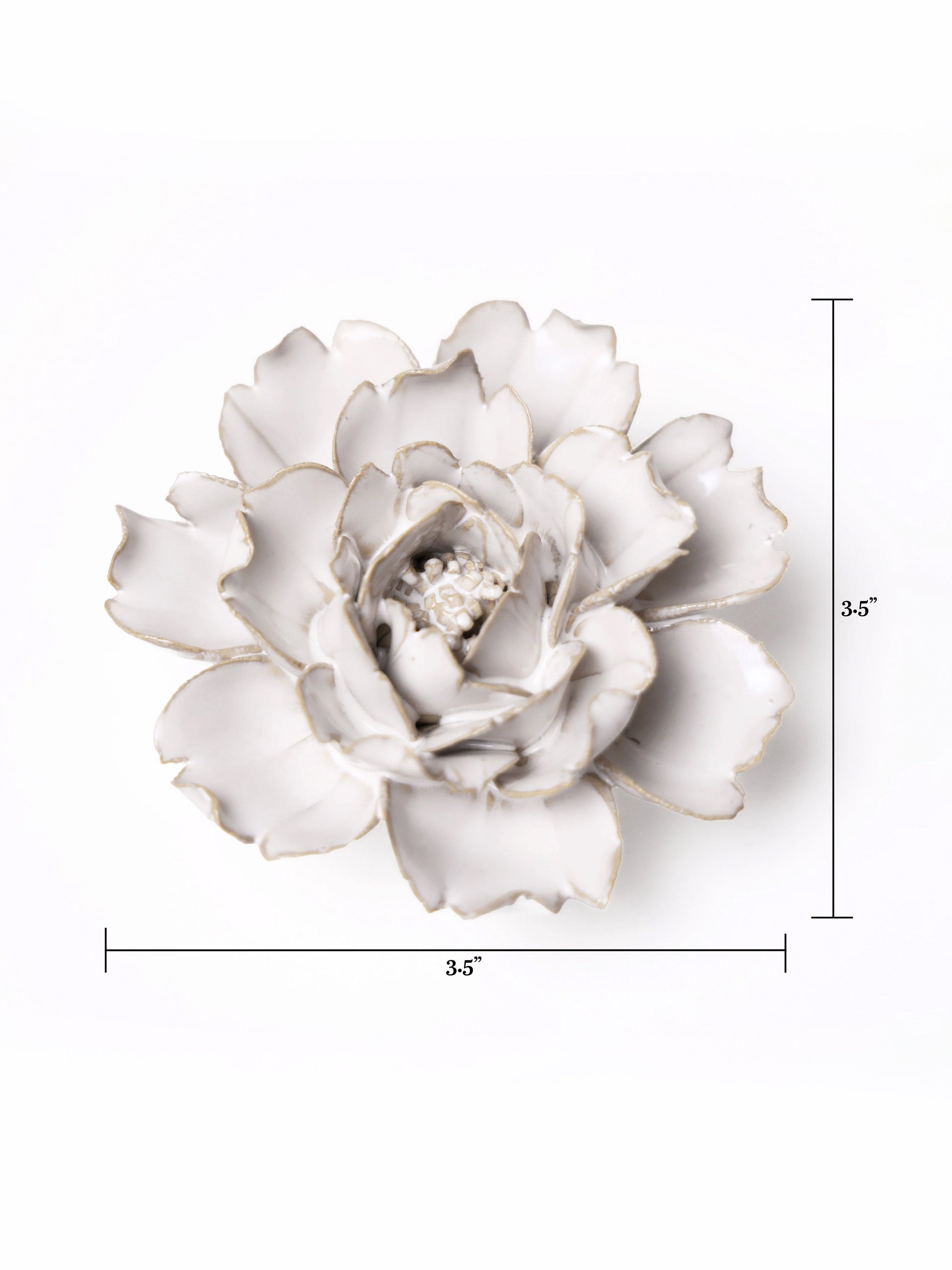 Ceramic Small Ivory Rose Flower - Sculpture from Ash & Rose