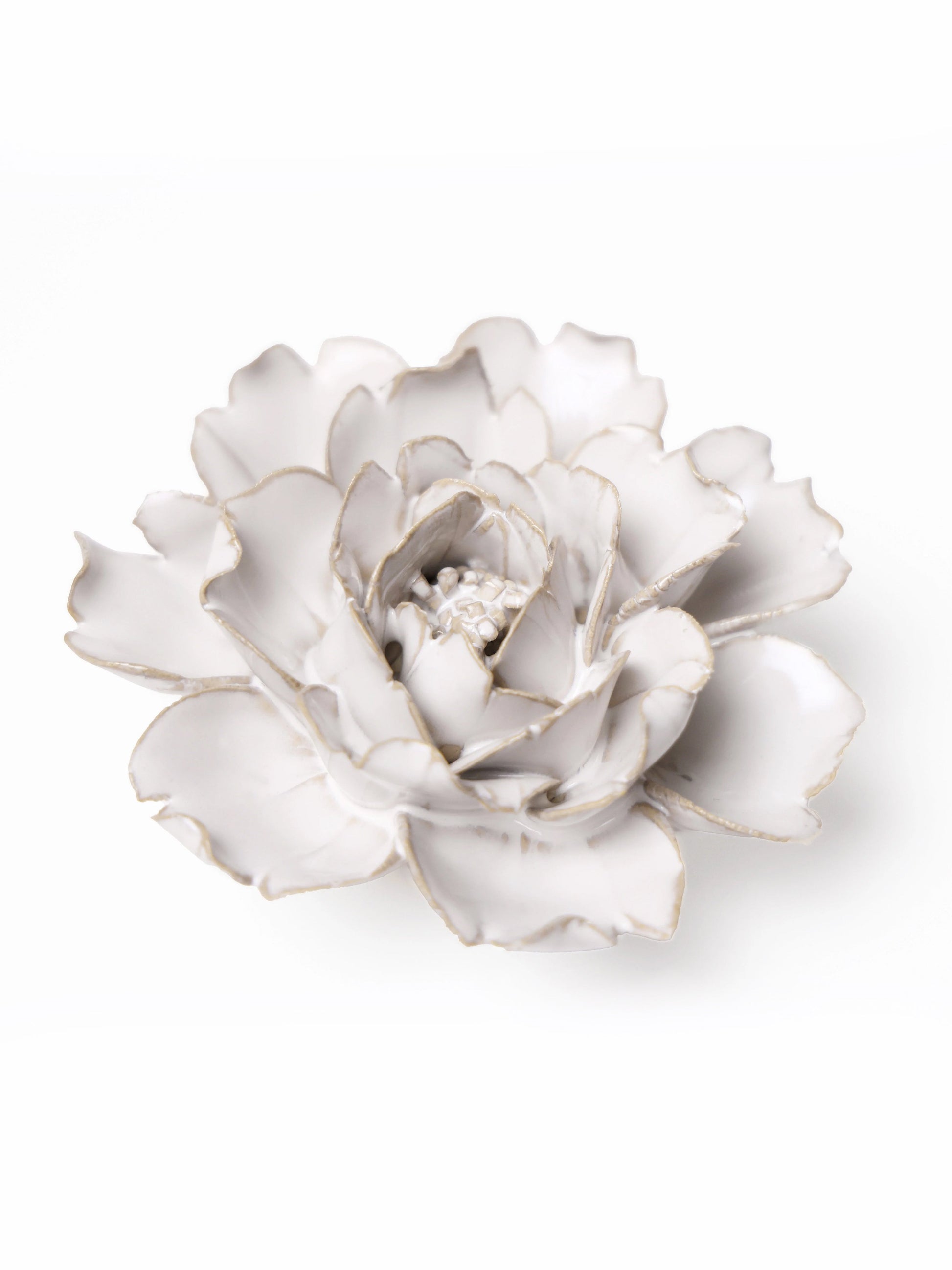 Ceramic Small Ivory Rose Flower - Sculpture from Ash & Rose