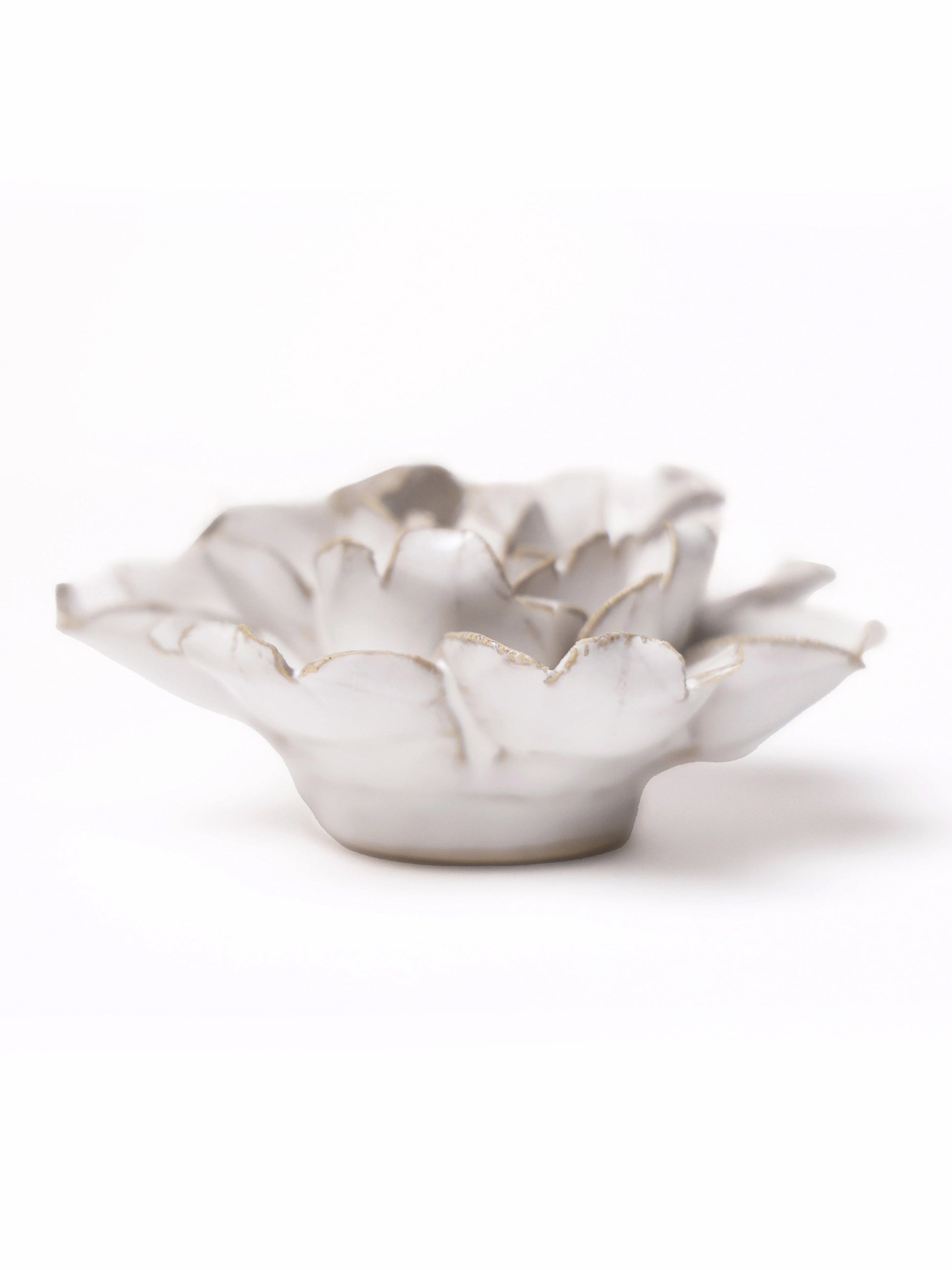 Ceramic Small Ivory Rose Flower - Sculpture from Ash & Rose