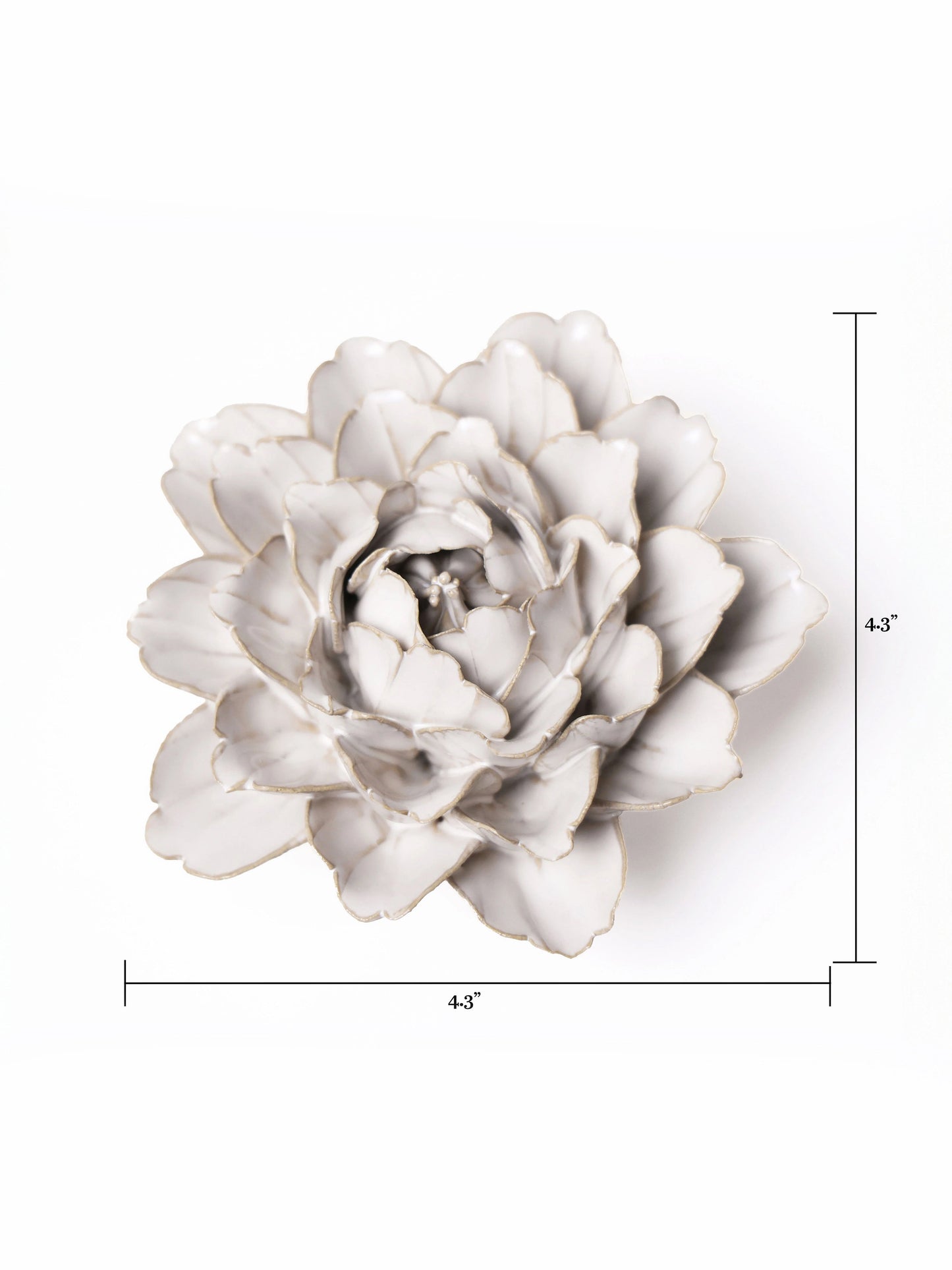 Ceramic Ivory Zinnia - Sculpture from Ash & Rose