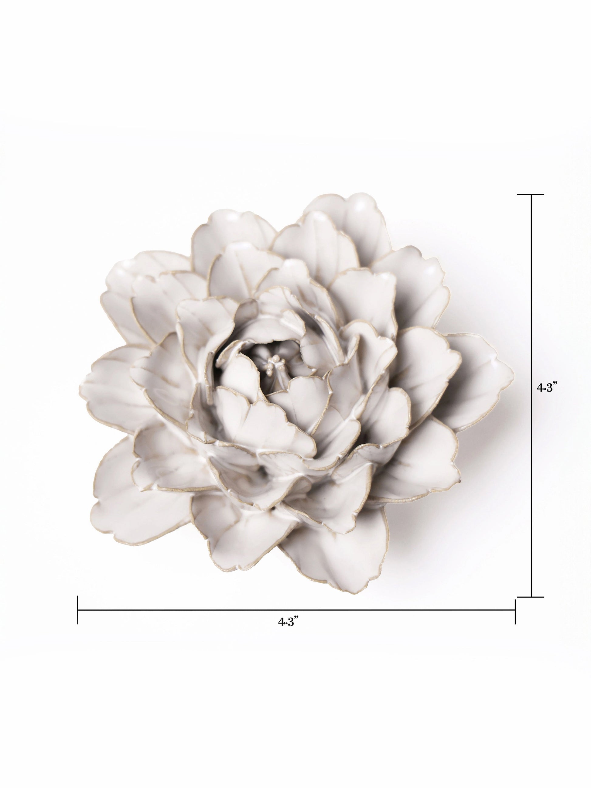 Ceramic Ivory Zinnia - Sculpture from Ash & Rose