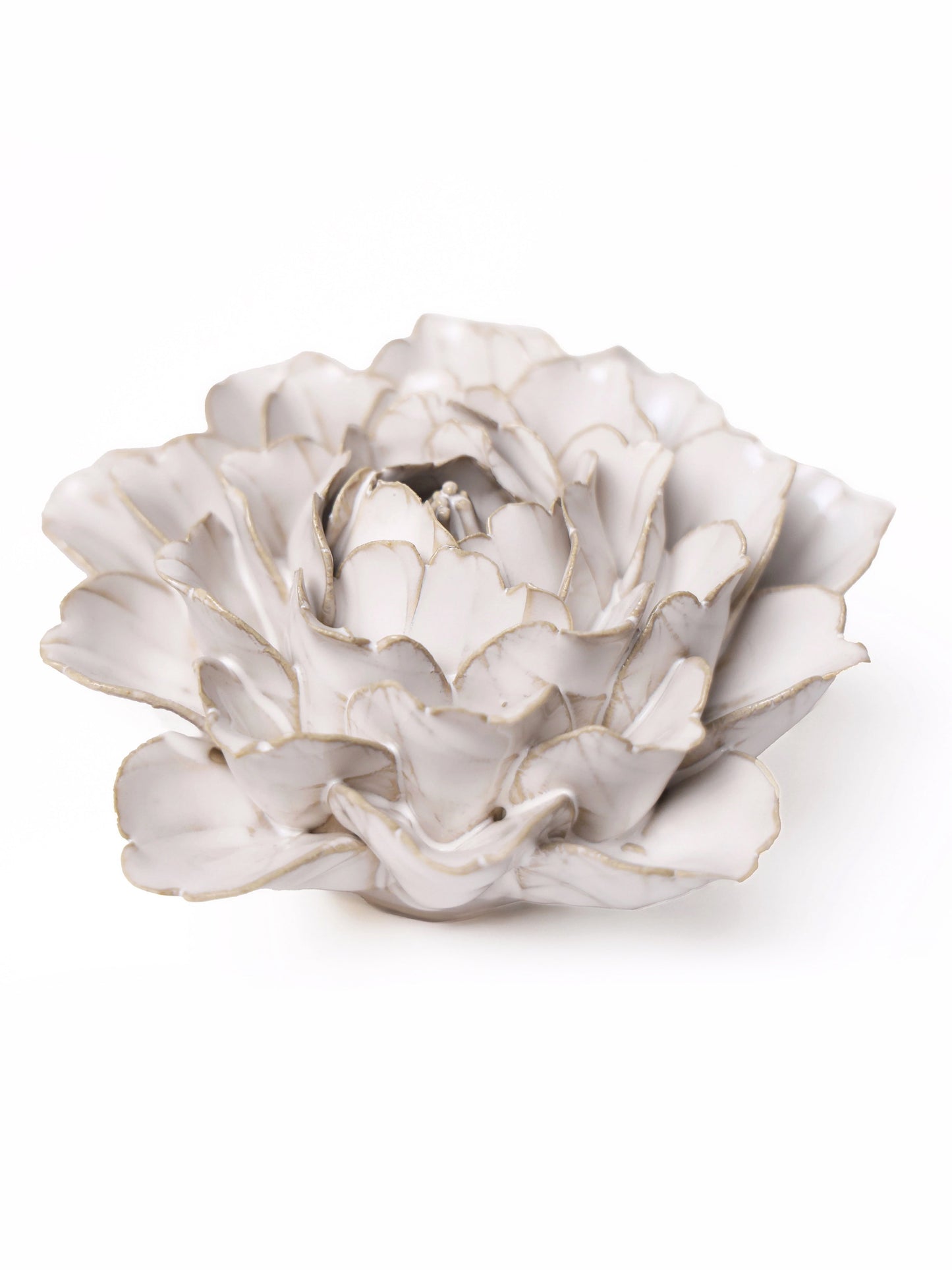 Ceramic Ivory Zinnia - Sculpture from Ash & Rose