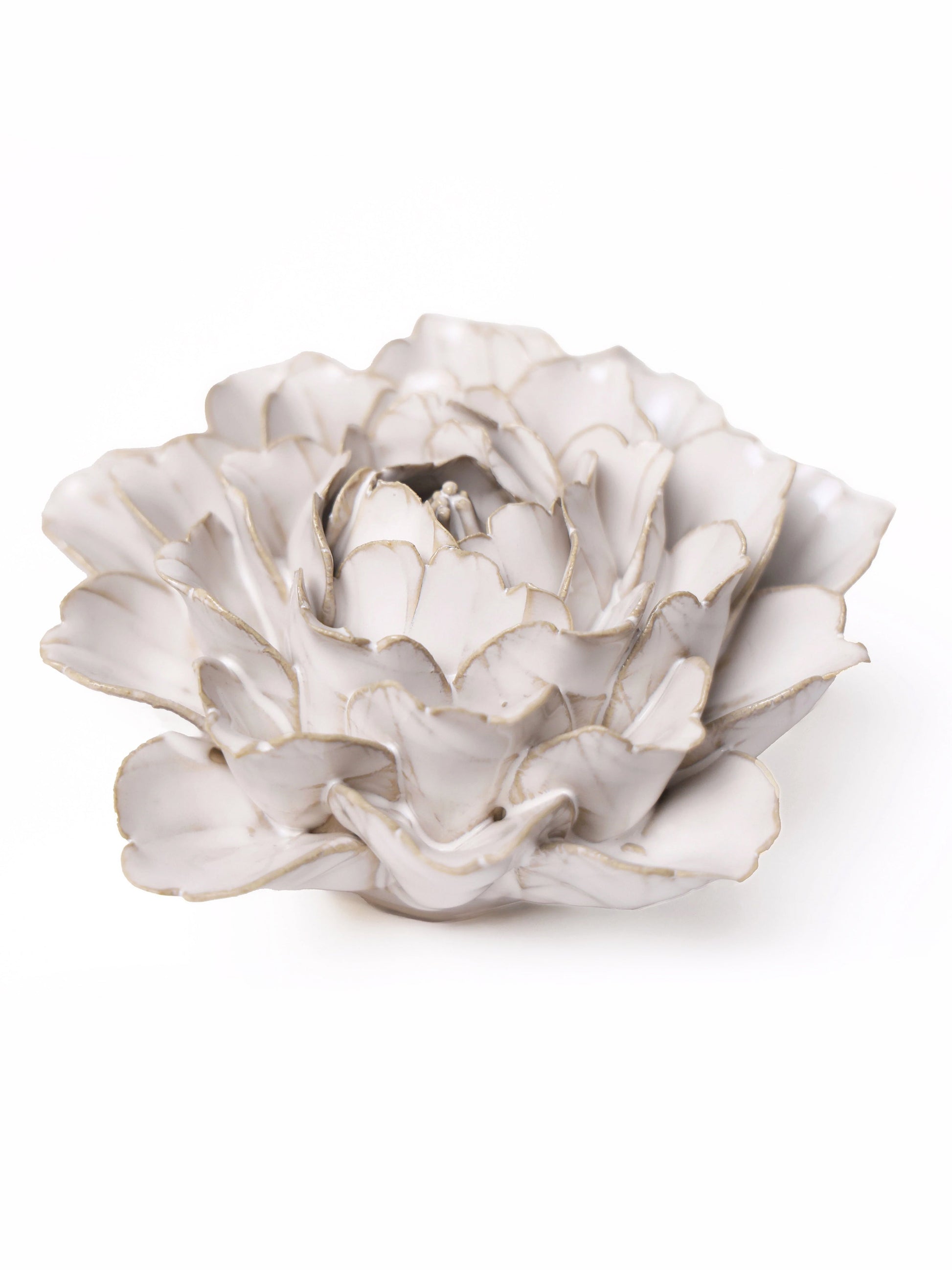 Ceramic Ivory Zinnia - Sculpture from Ash & Rose