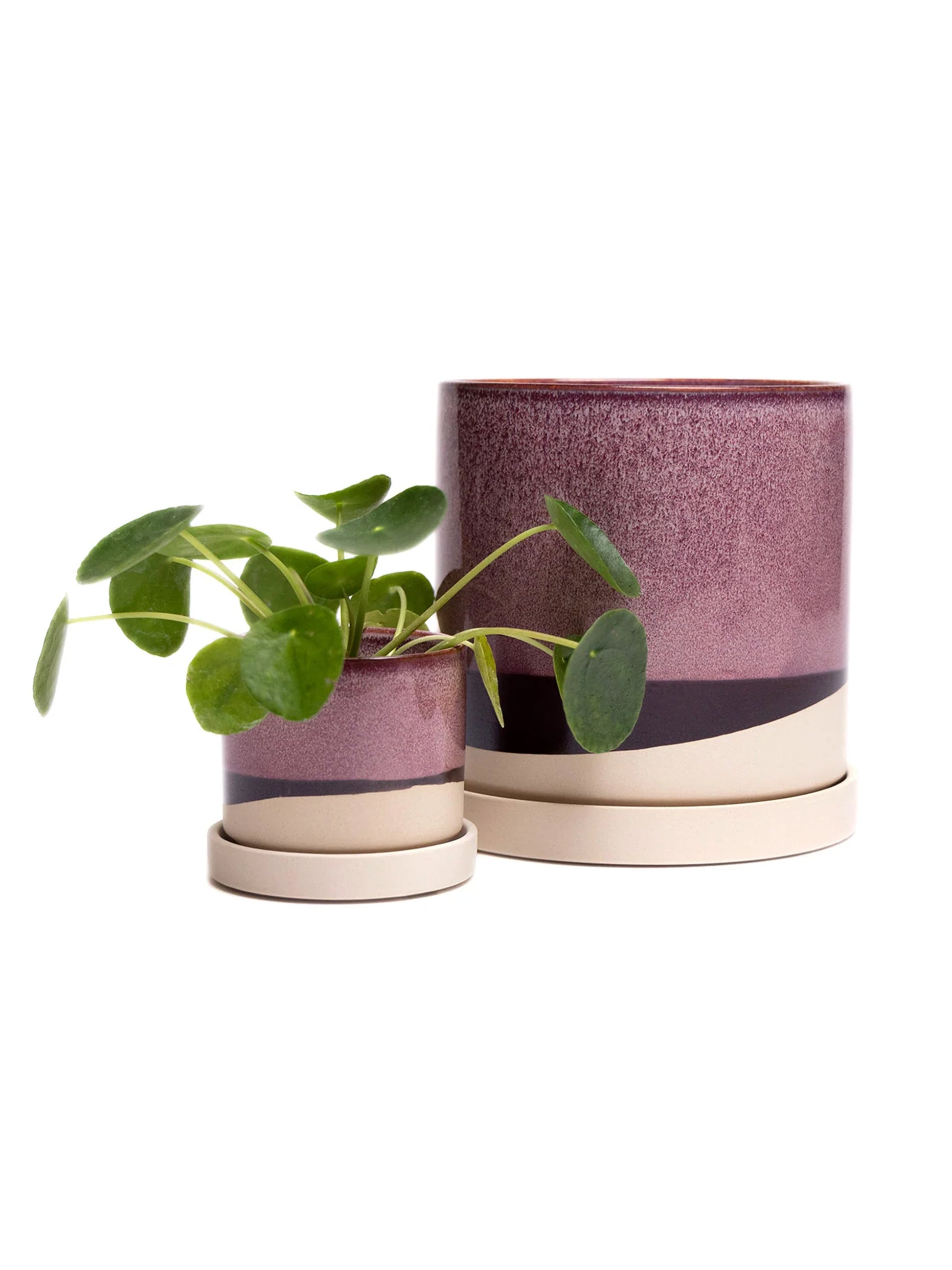 Burgundy Ceramic Plant Pot and Saucer - plant pot from Ash & Rose