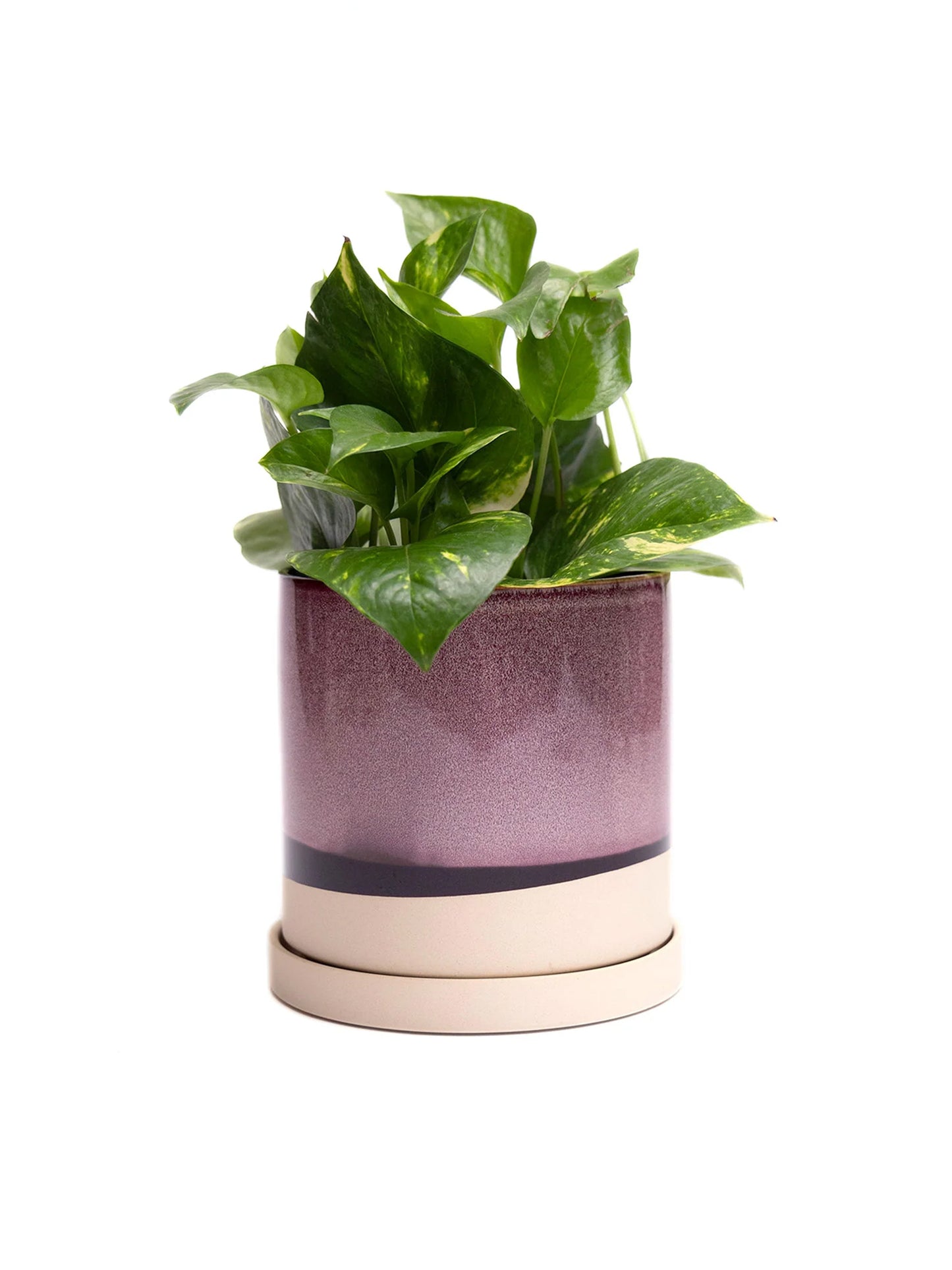 Burgundy Ceramic Plant Pot and Saucer - plant pot from Ash & Rose