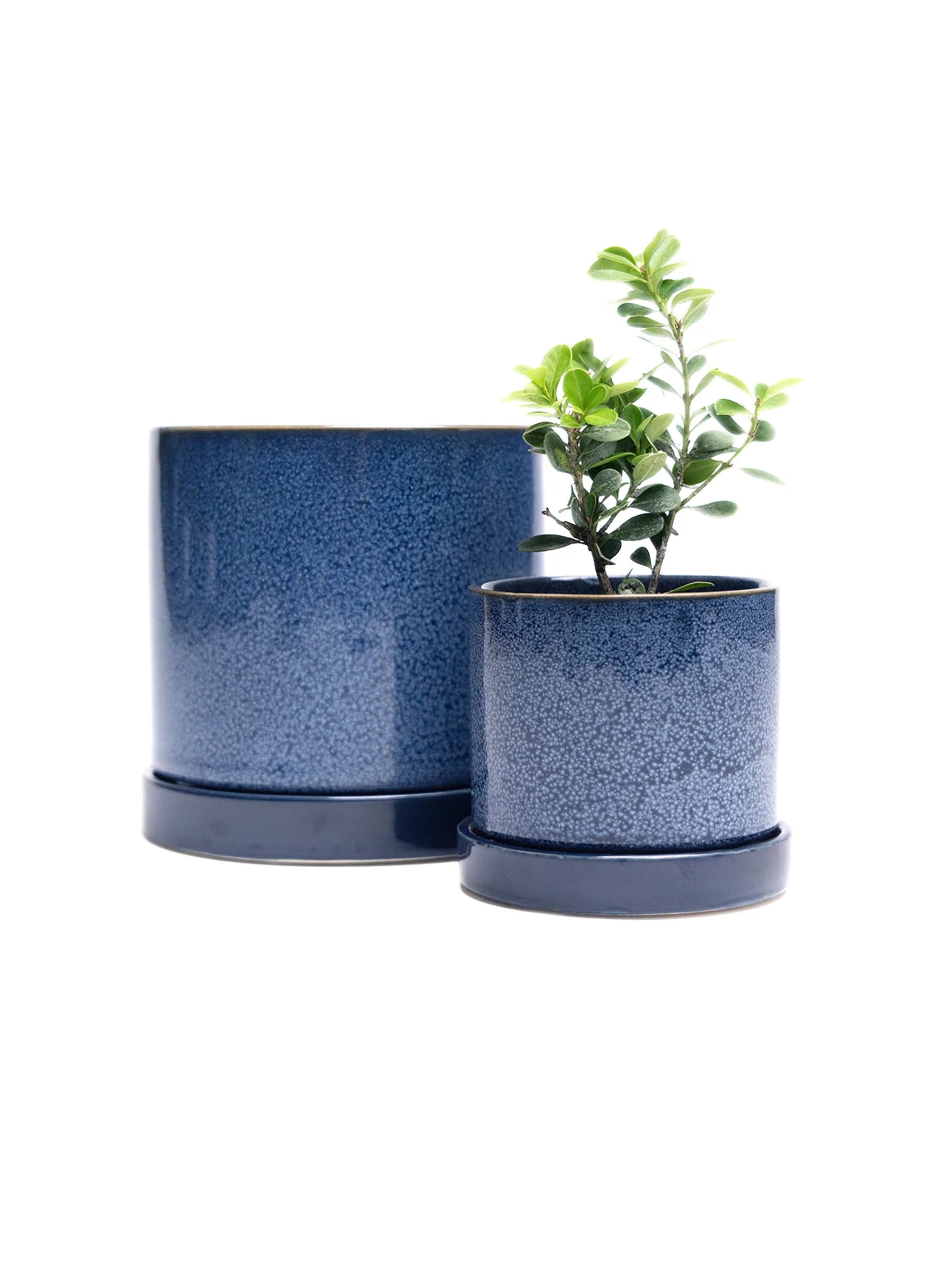 Cosmos Blue 3" Ceramic Plant Pot and Saucer - plant pot from Ash & Rose