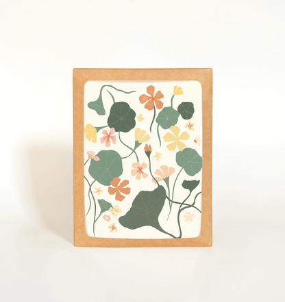 Nasturtiums Card Boxed Set